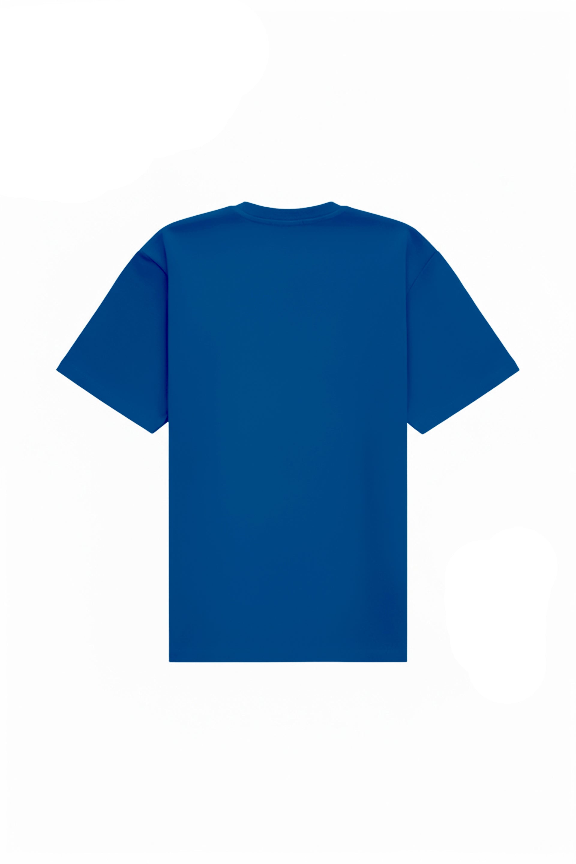 Oversized T-shirt in 2 variants