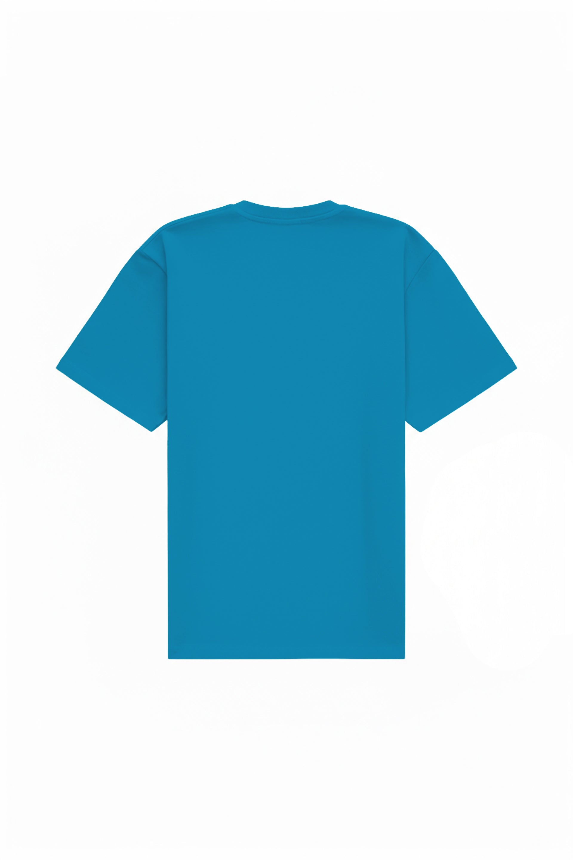 Oversized T-shirt in 2 variants