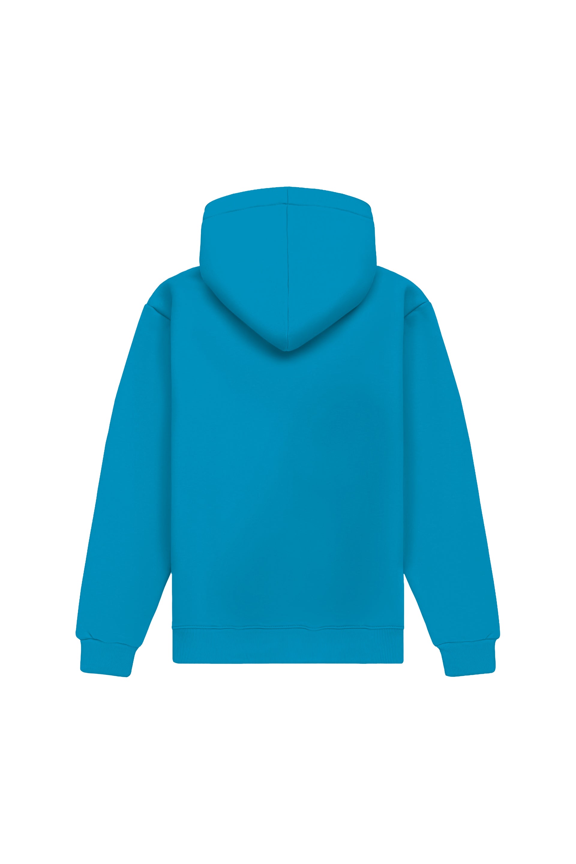 Hoodie regular MEDIUM LOOP B-051