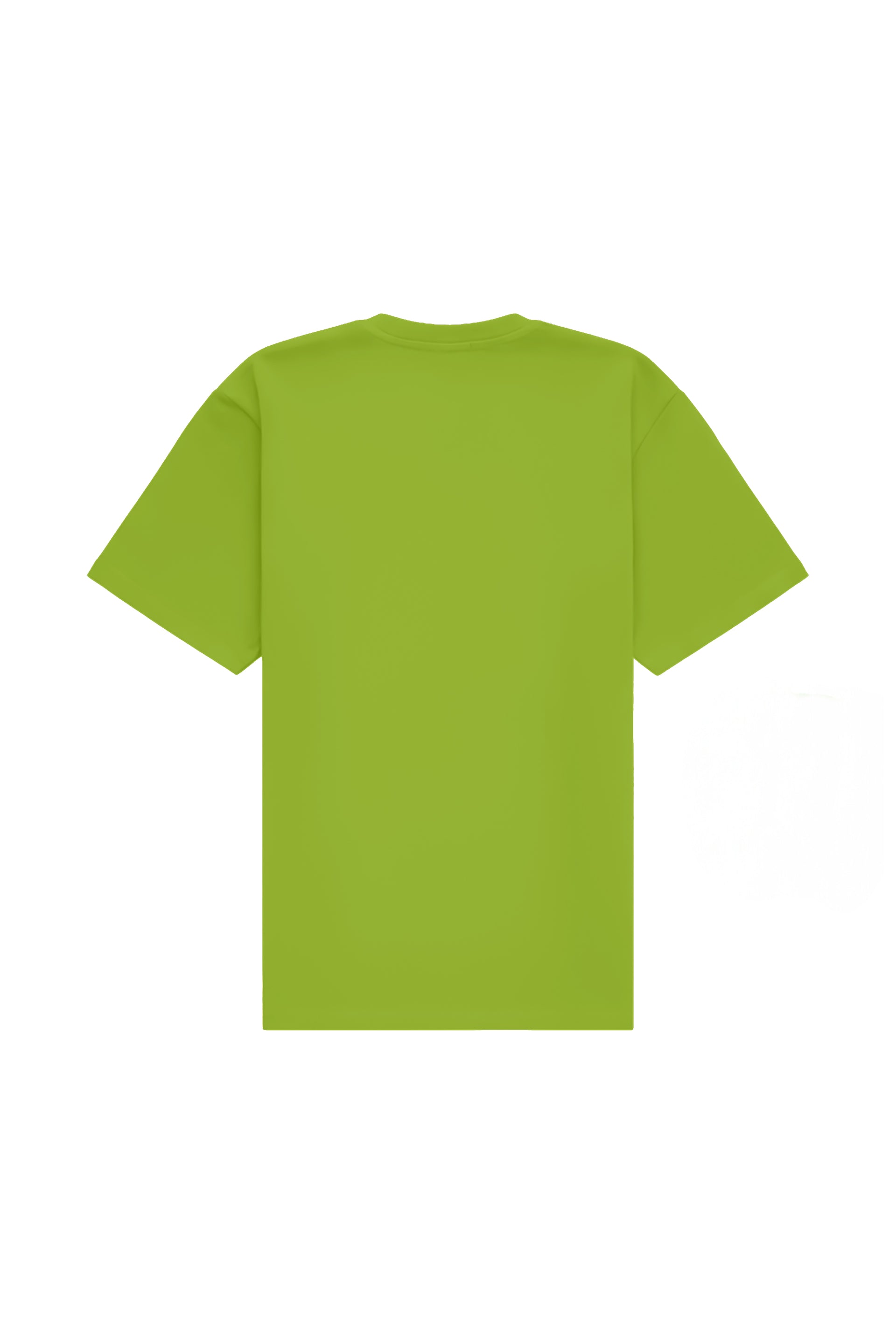 Oversized T-shirt in 2 variants