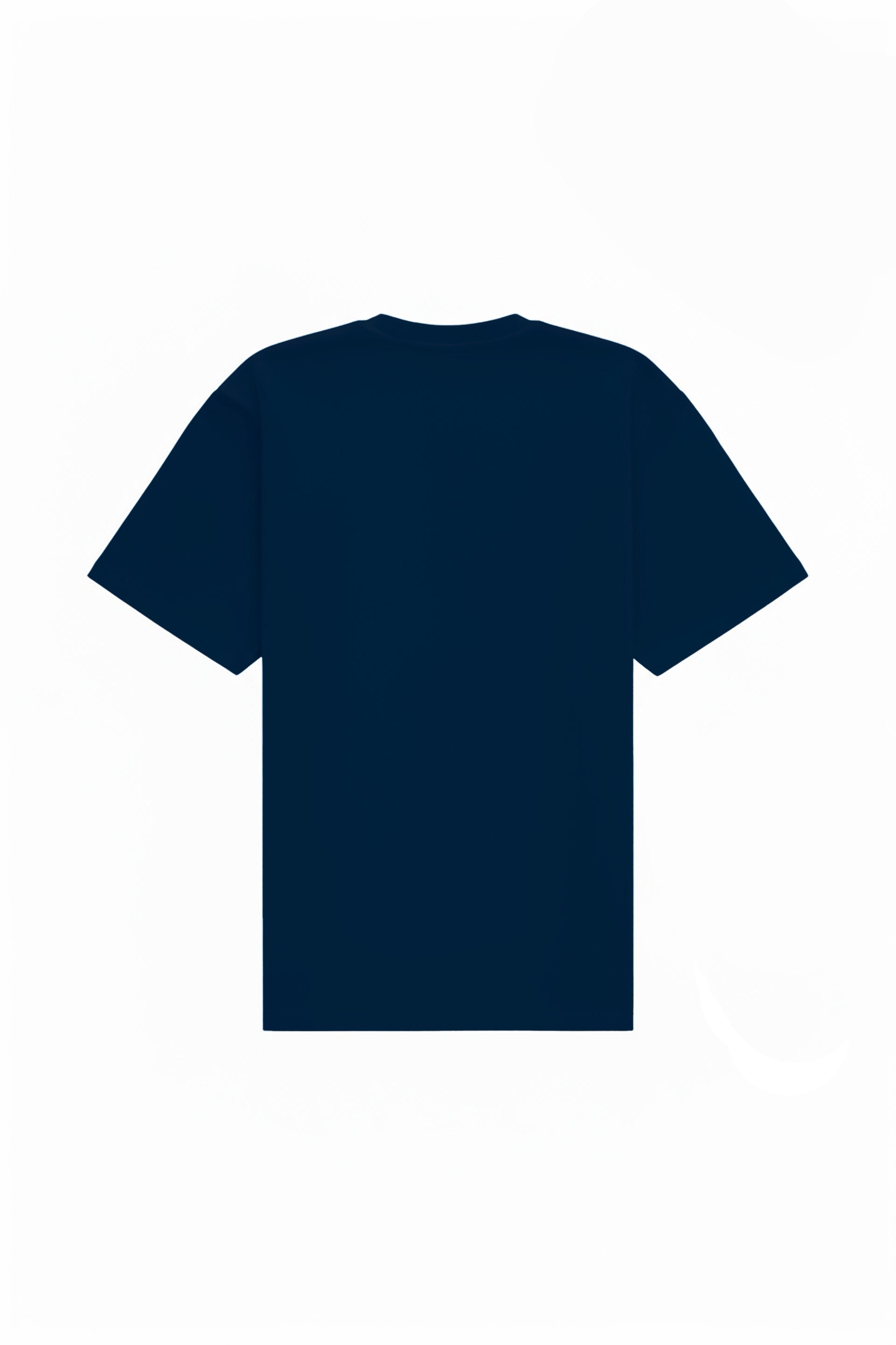 Oversized T-shirt in 2 variants