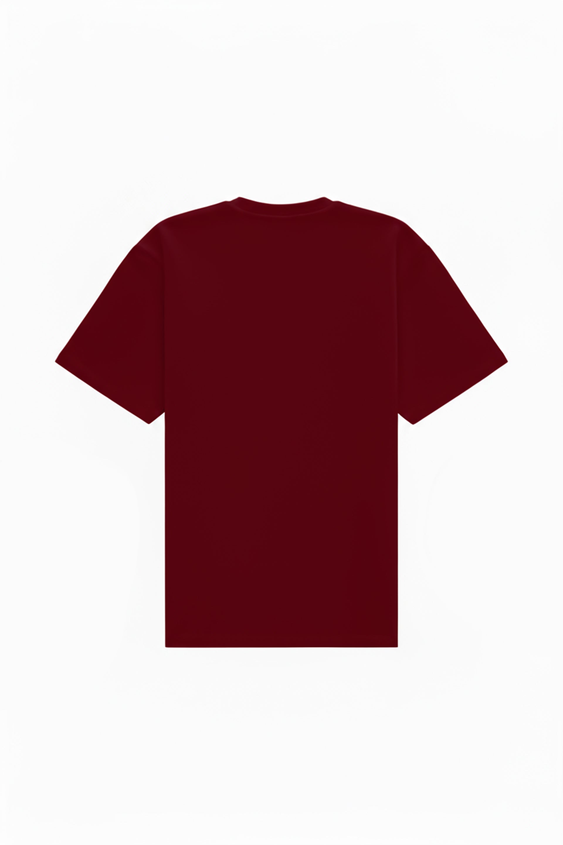 Oversized T-shirt in 2 variants