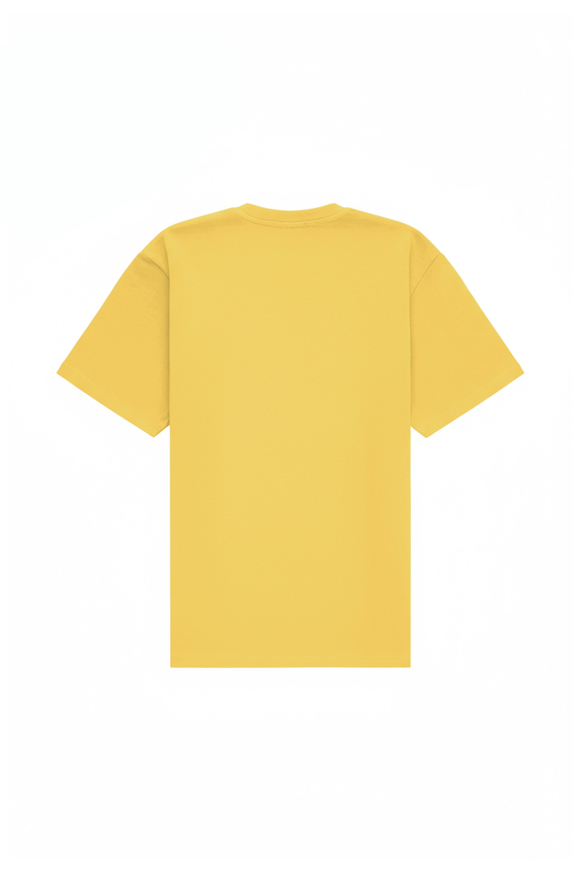 Oversized T-shirt in 2 variants