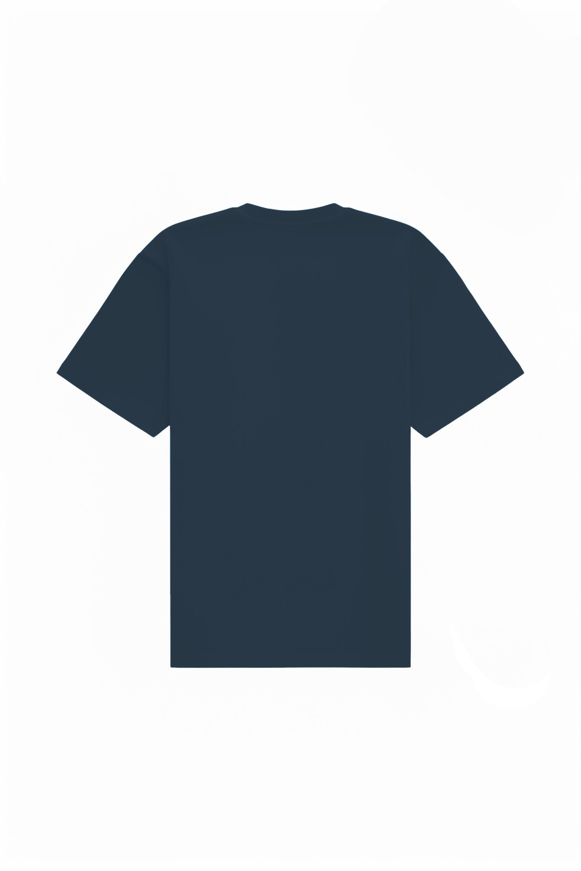 Oversized T-shirt in 2 variants