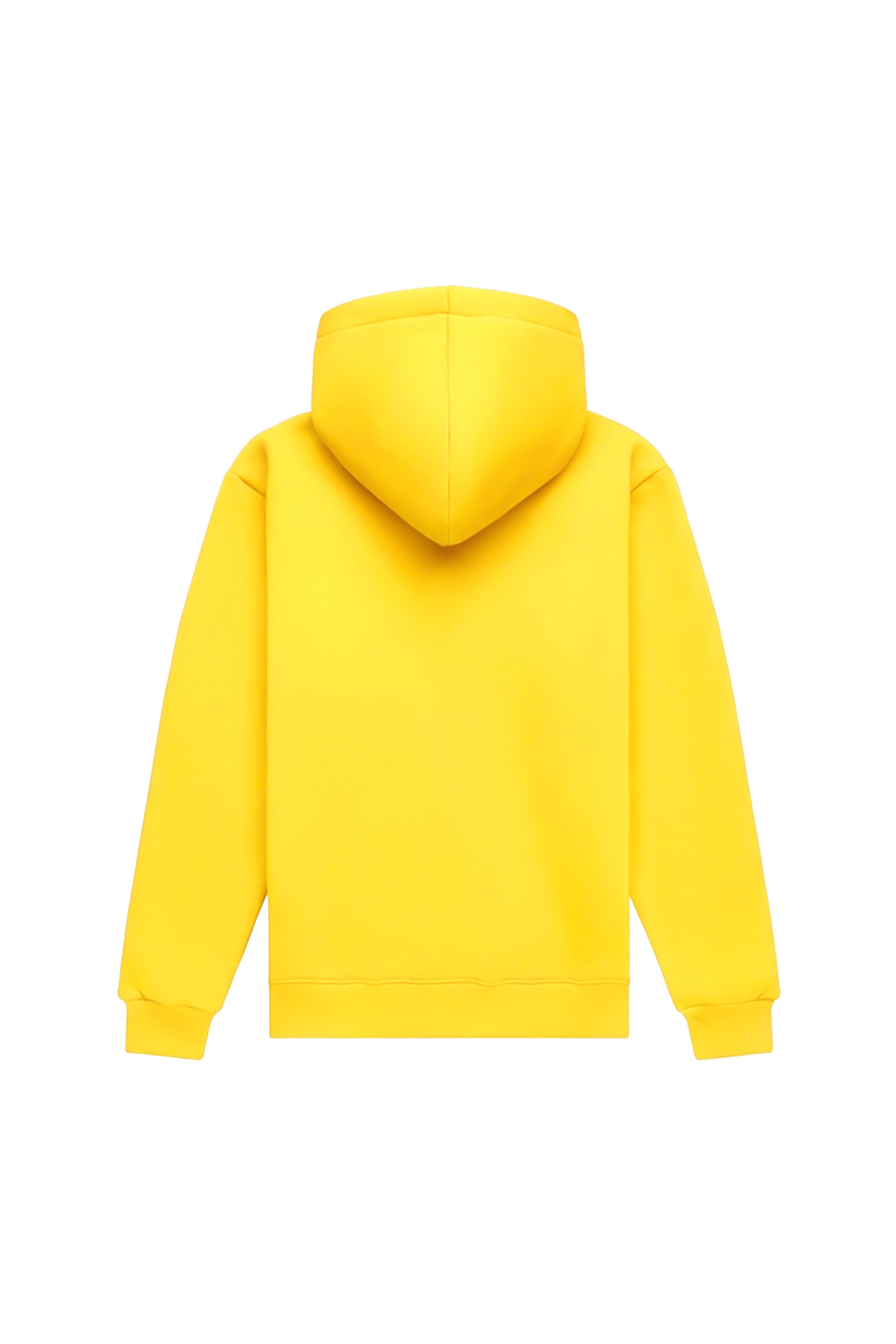 Hoodie regular MEDIUM BRUSHED B-123
