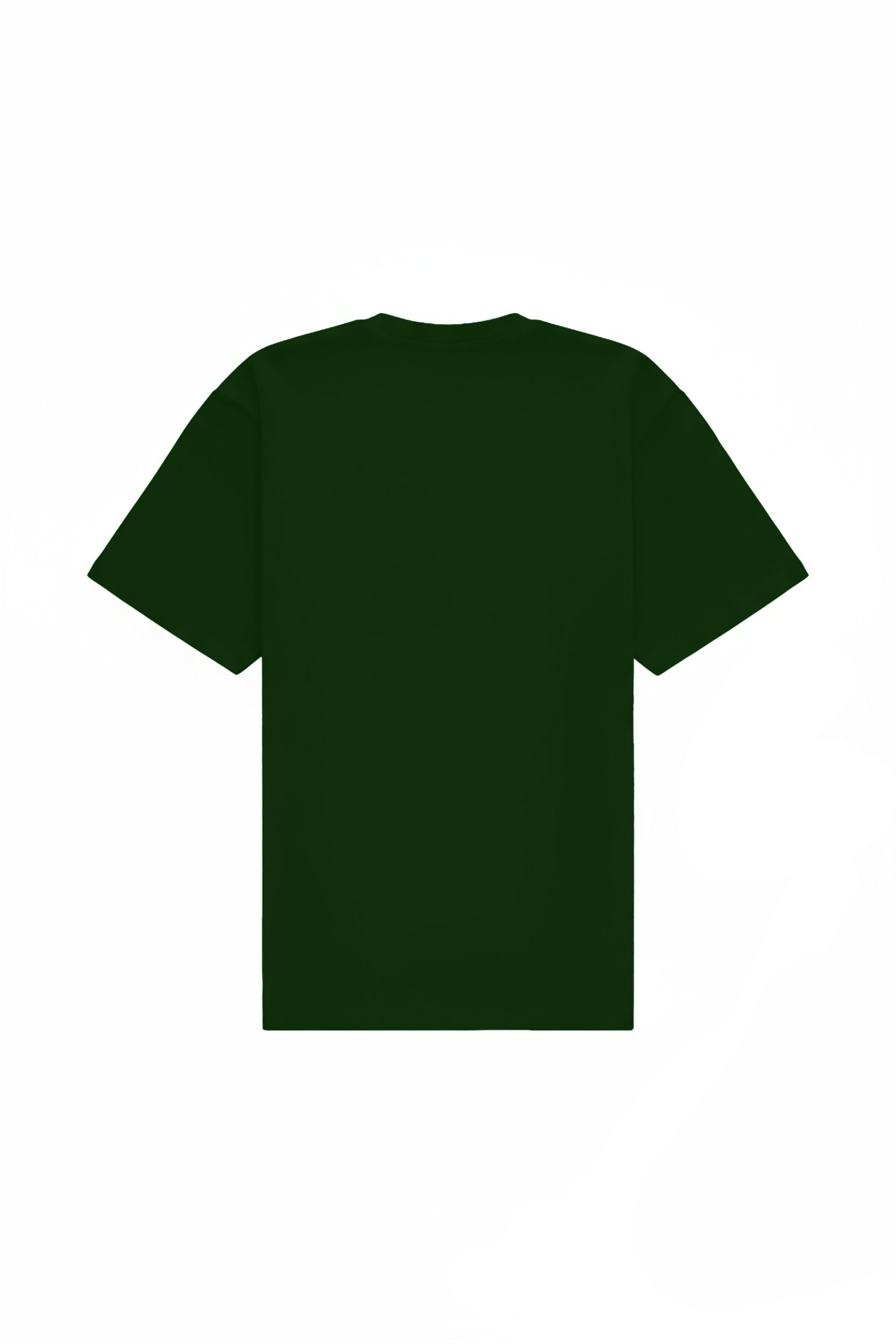 Oversized T-shirt in 2 variants