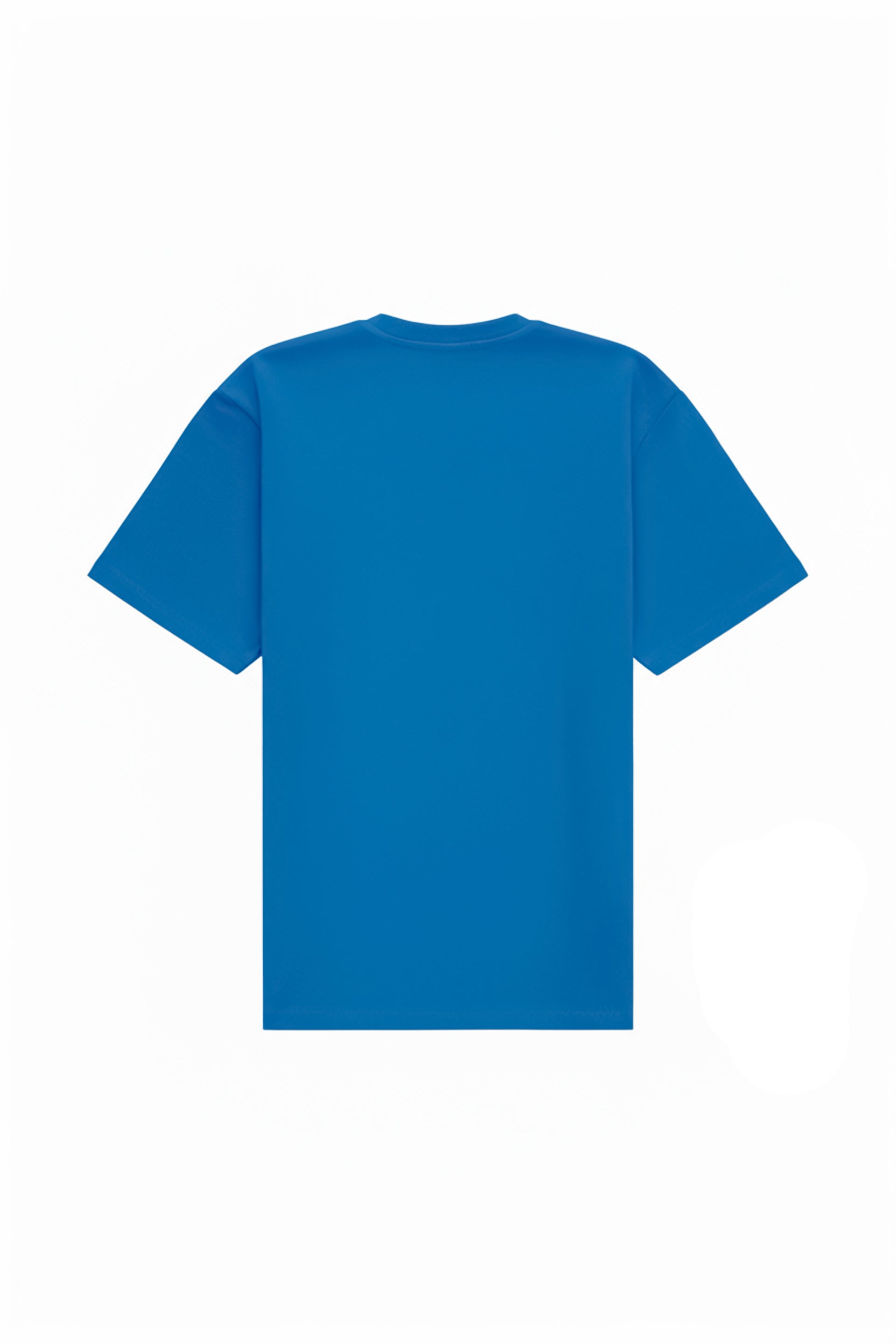 Oversized T-shirt in 2 variants