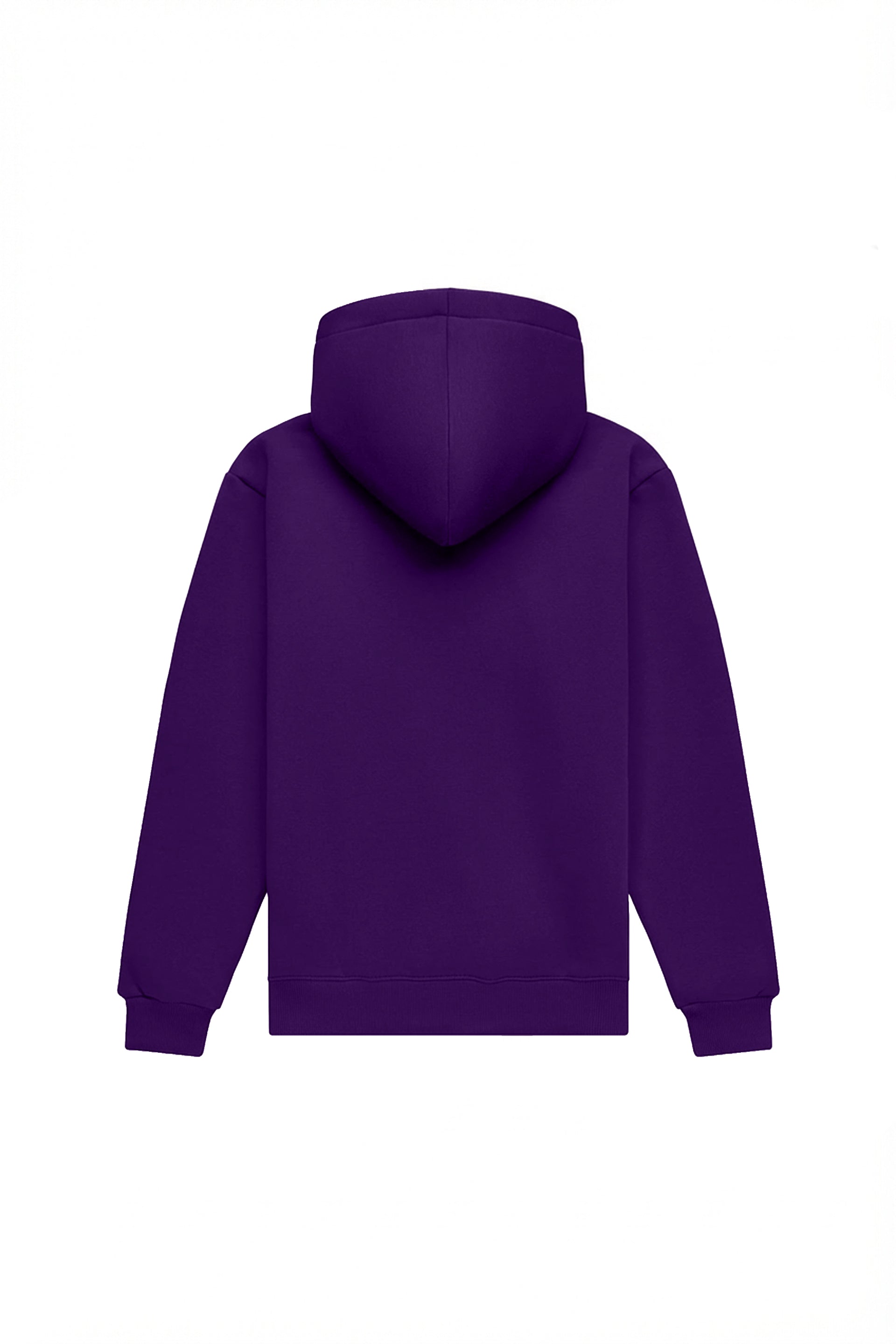 Hoodie regular MEDIUM BRUSHED B-157