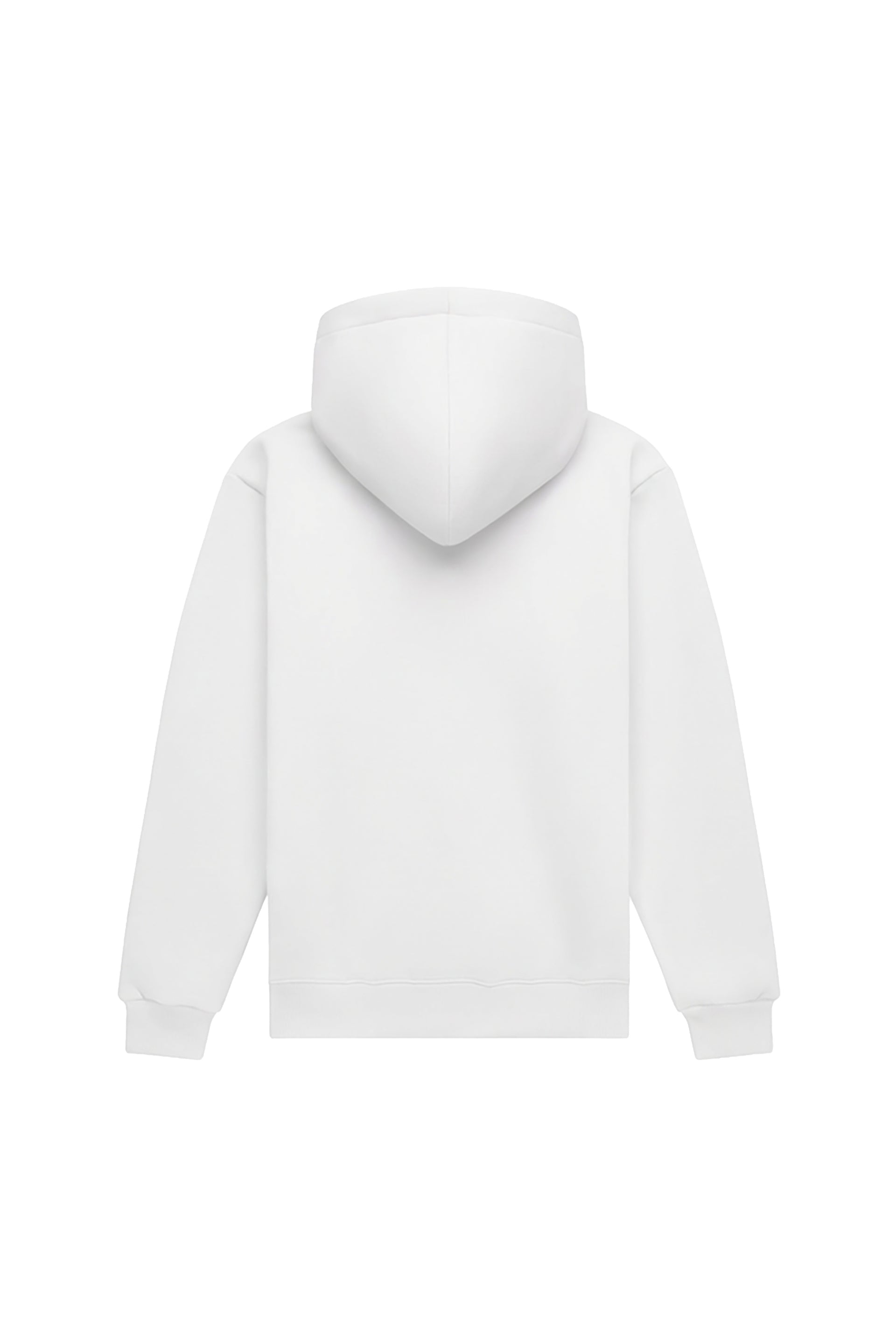 Hoodie regular MEDIUM BRUSHED WHITE