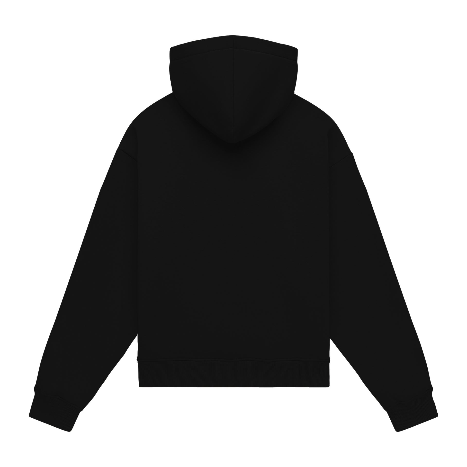 Hoodie oversize LIGHT BRUSHED BLACK