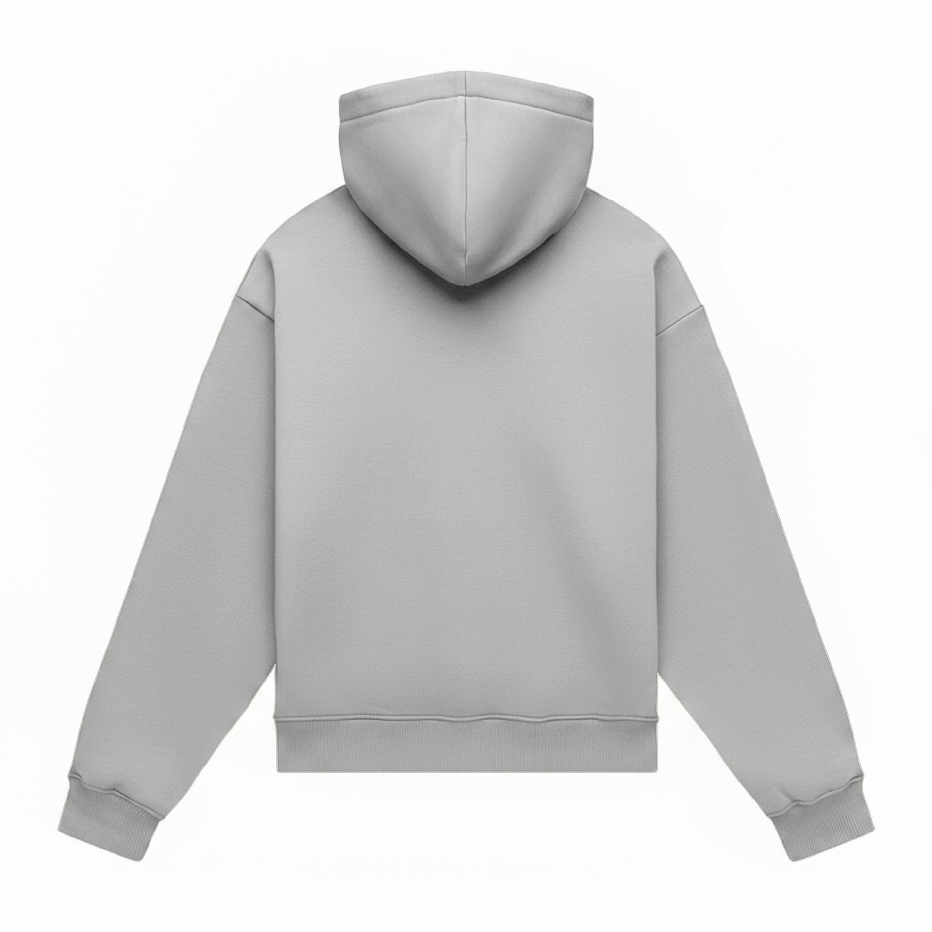 Hoodie oversize LIGHT BRUSHED CEMENT