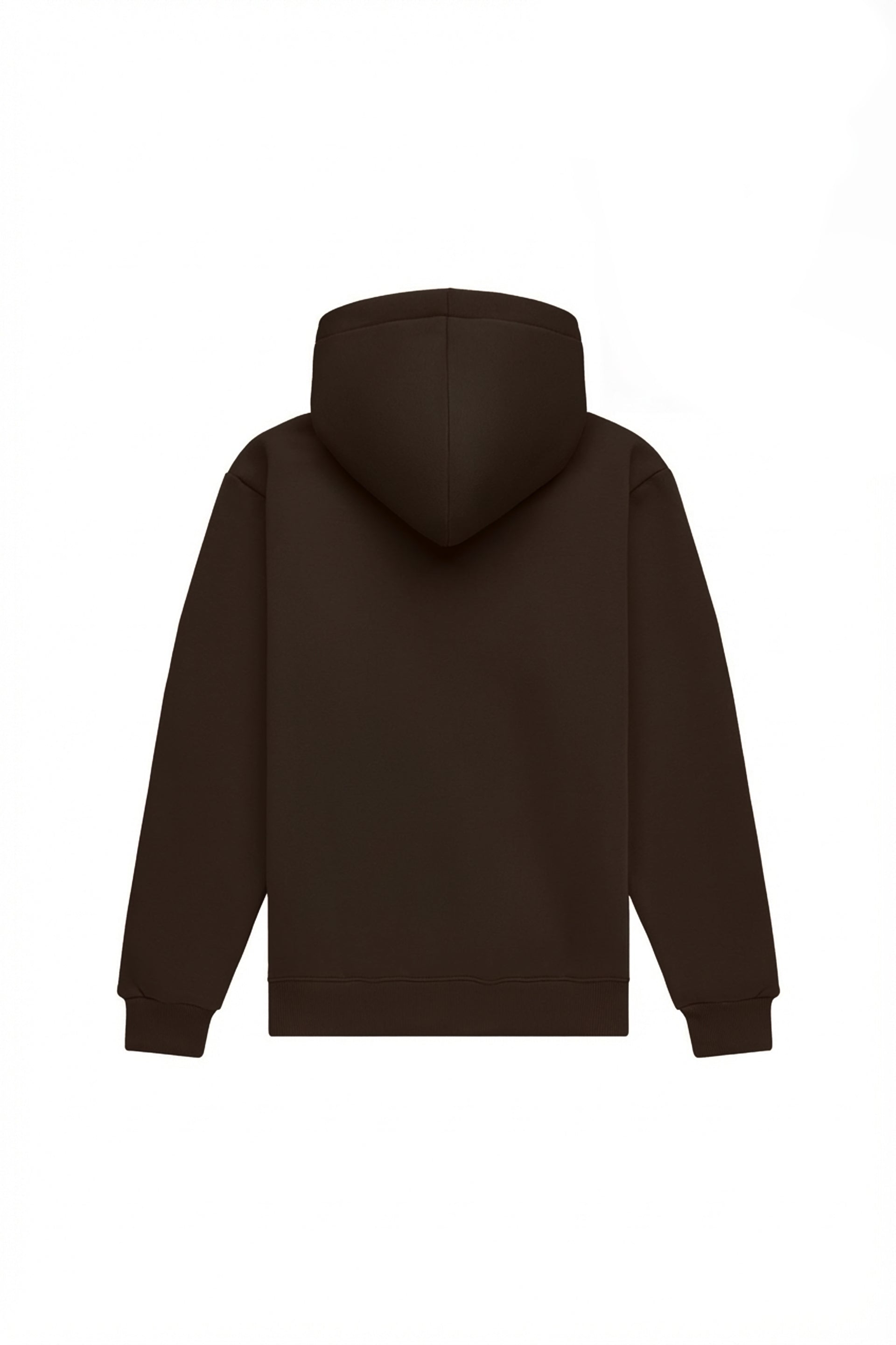 Hoodie regular LIGHT BRUSHED CHOCOLATE