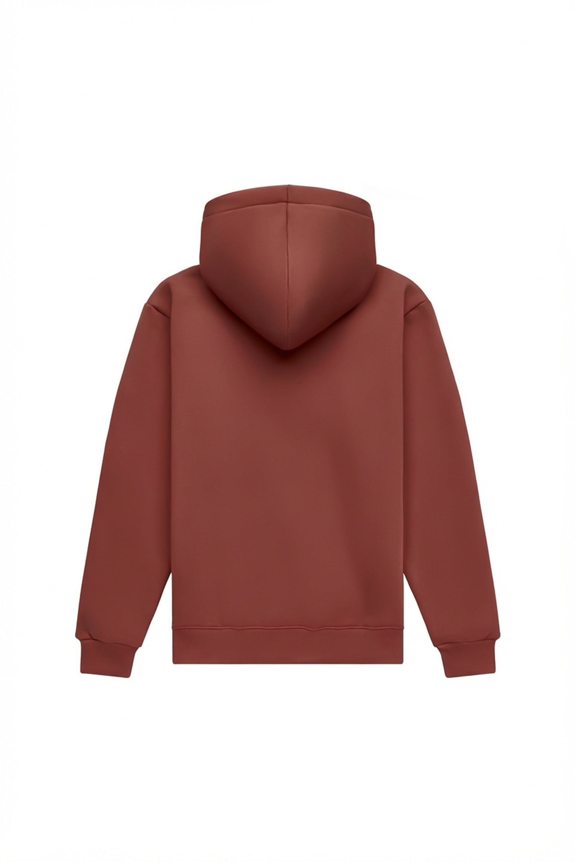 Hoodie regular LIGHT BRUSHED CINNAMON