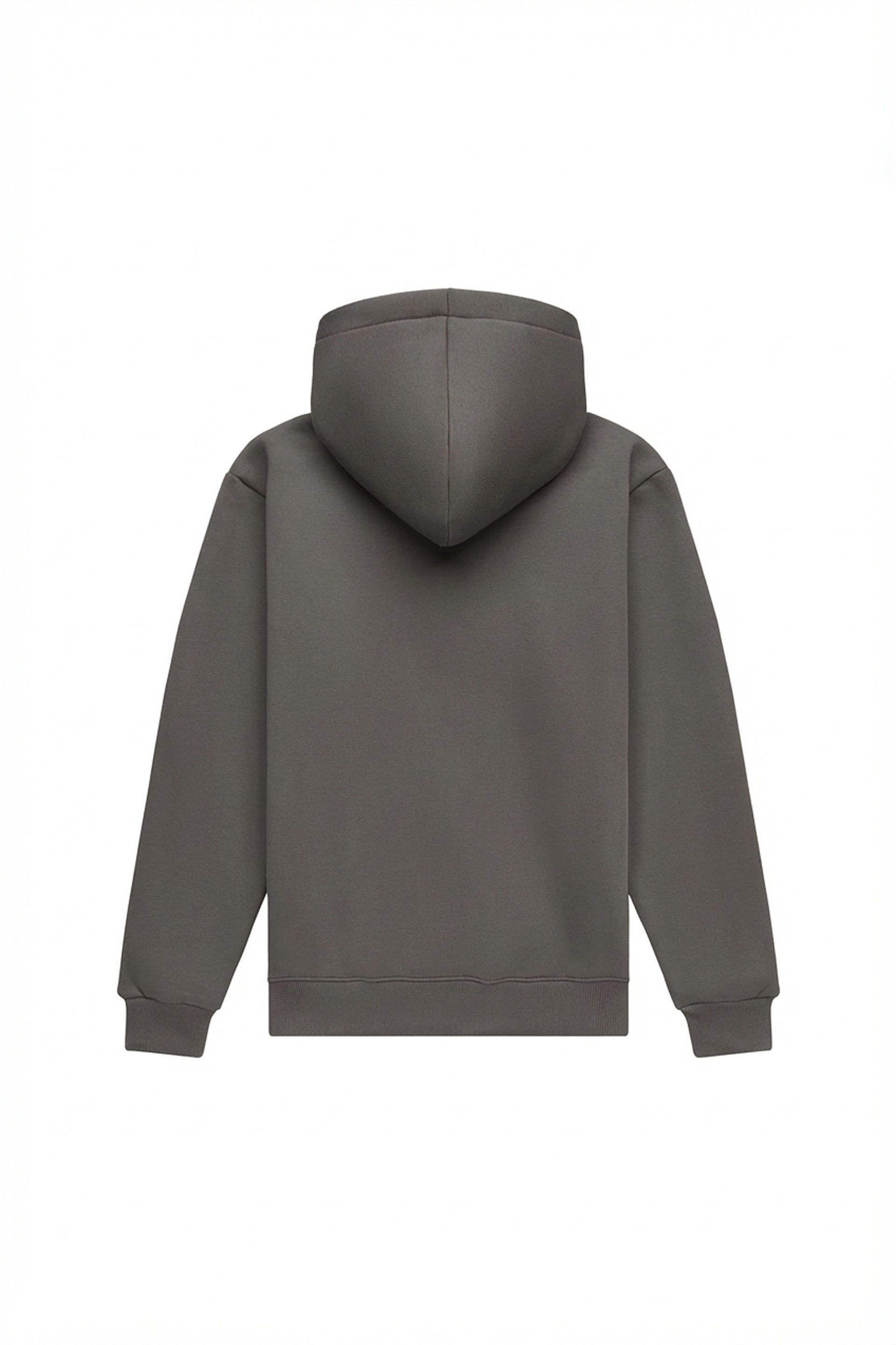 Hoodie regular LIGHT BRUSHED DARK GRAY