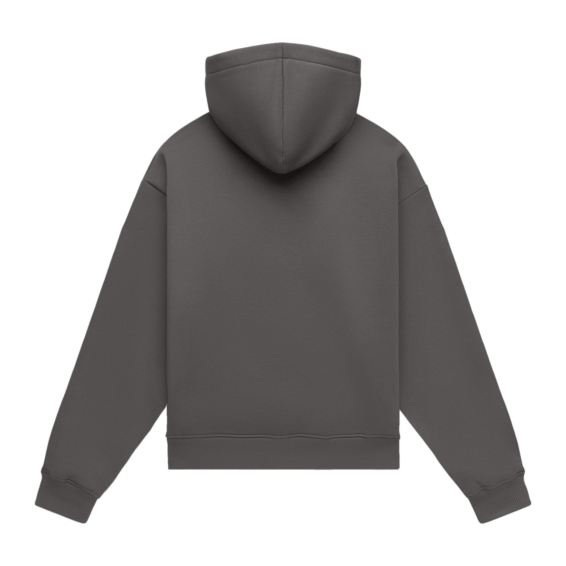 Hoodie oversize LIGHT BRUSHED DARK GRAY