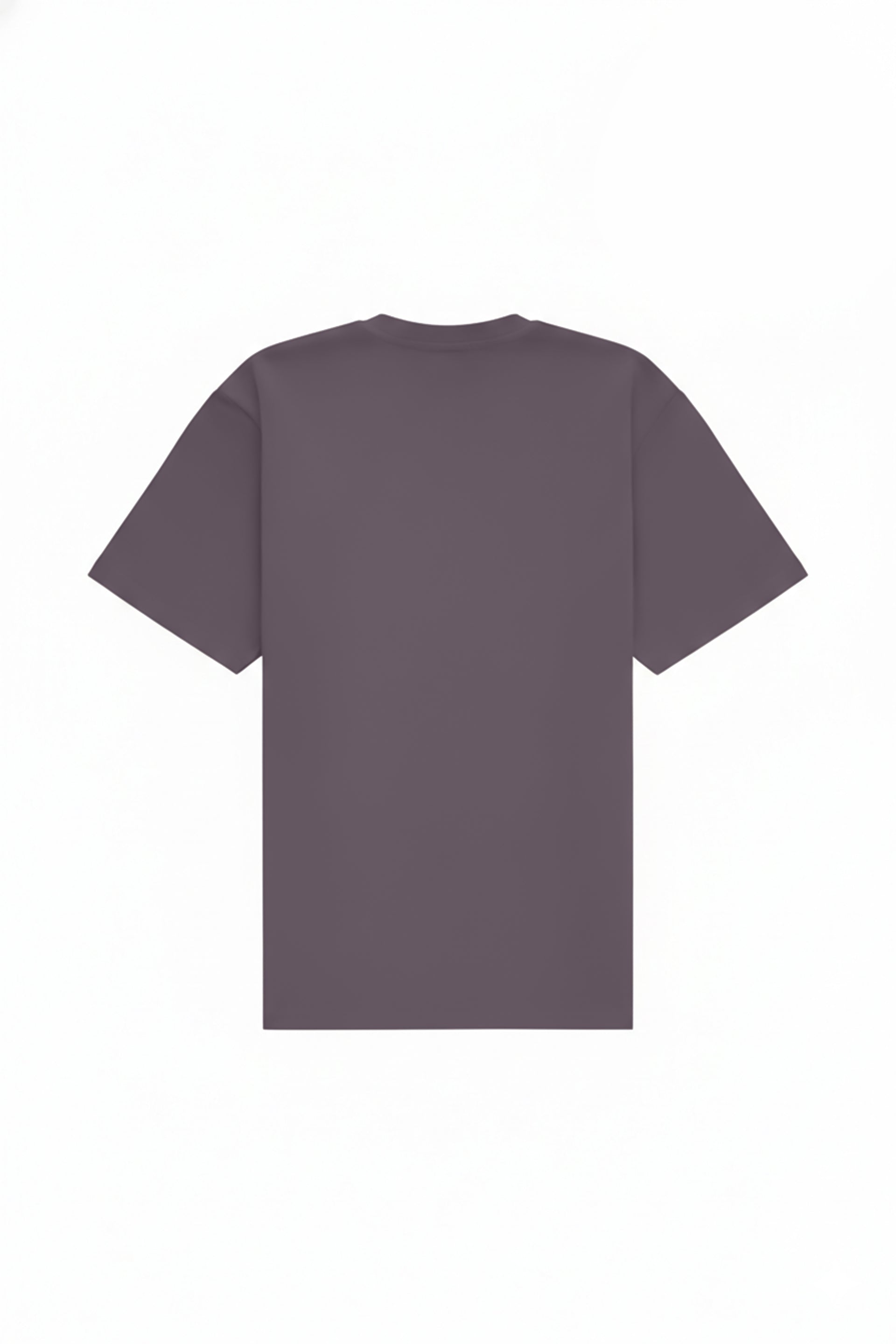 Regular T-shirt in 2 variants