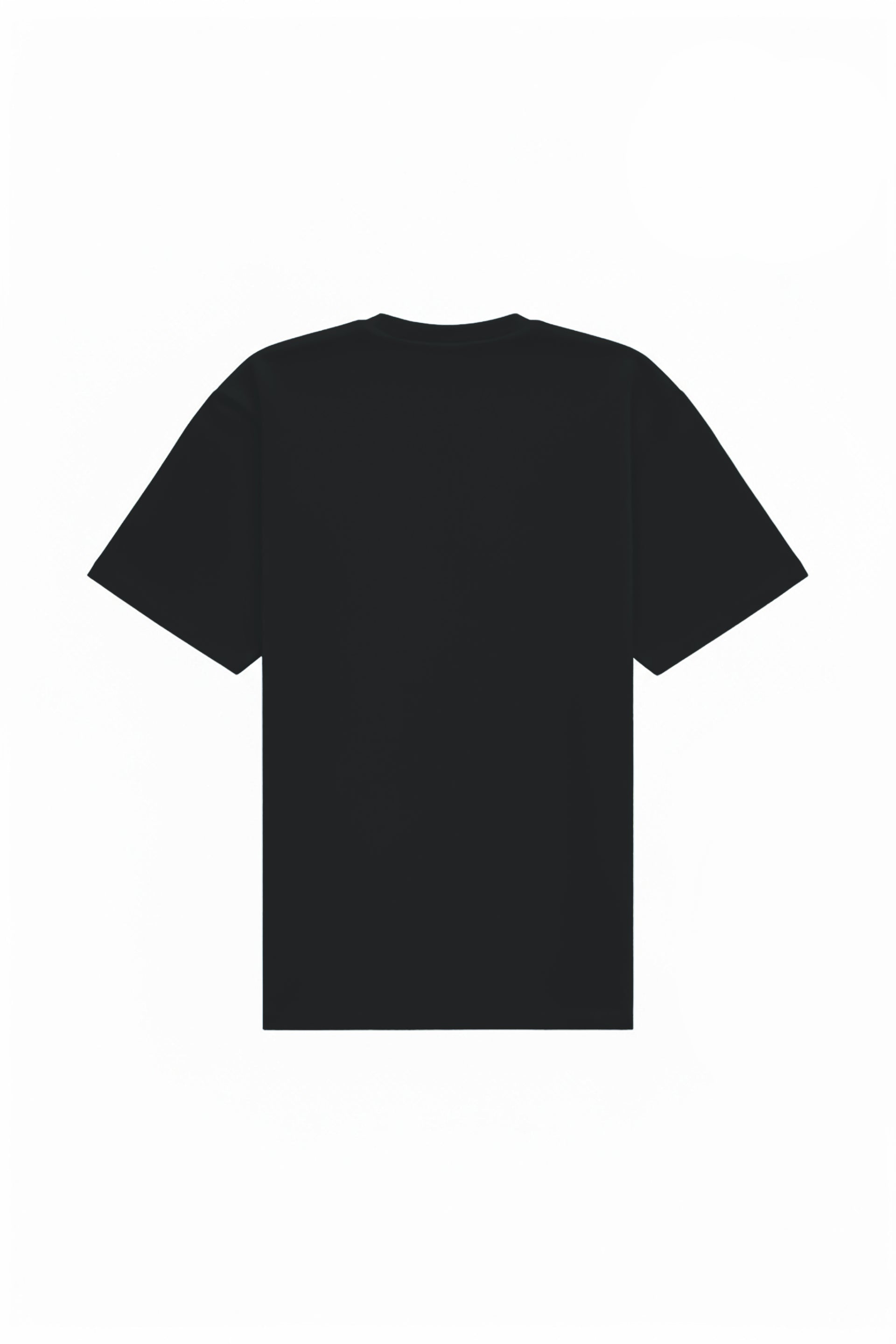 Oversized T-shirt in 2 variants