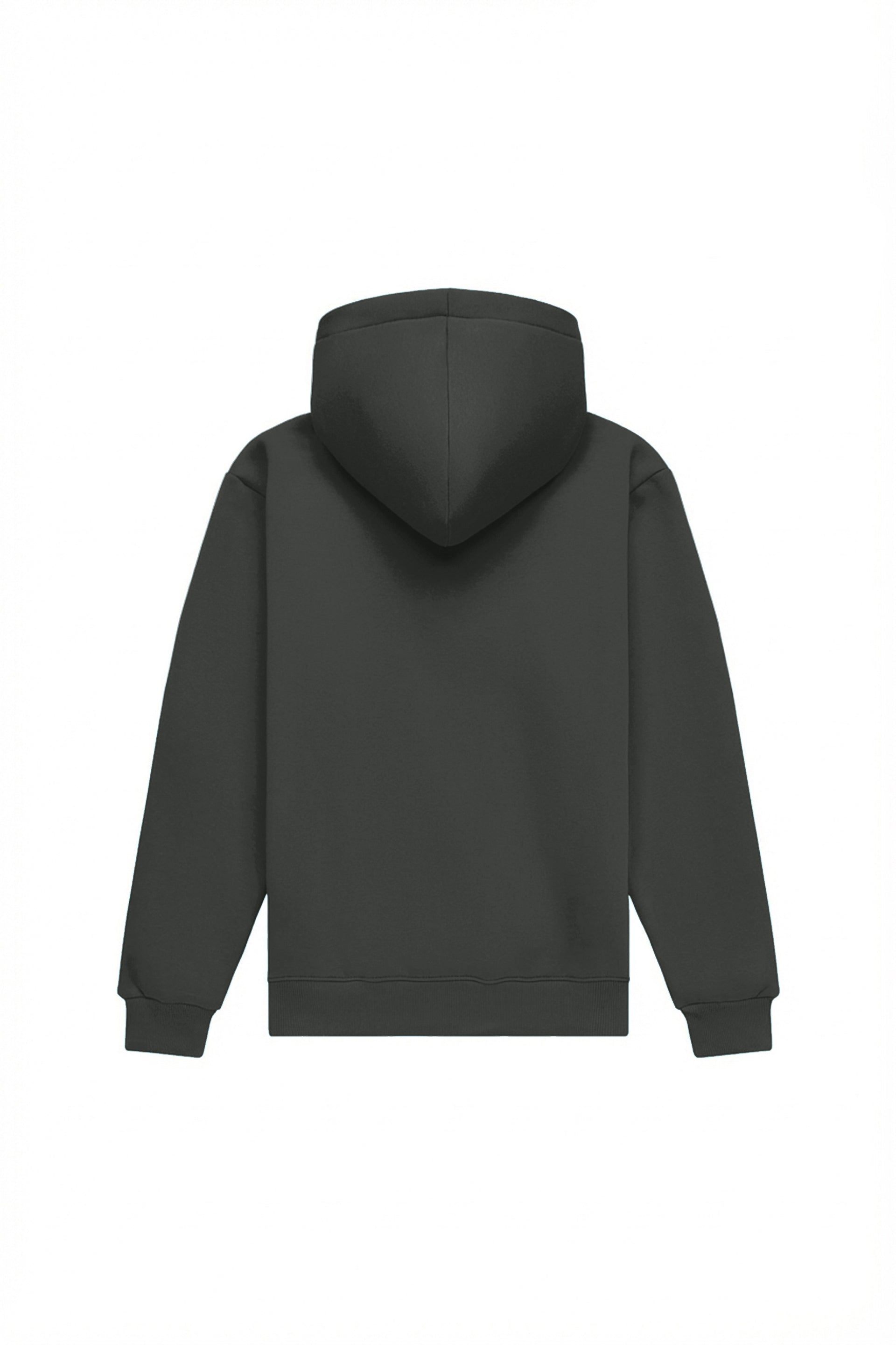 Hoodie regular MEDIUM BRUSHED GRAFIT