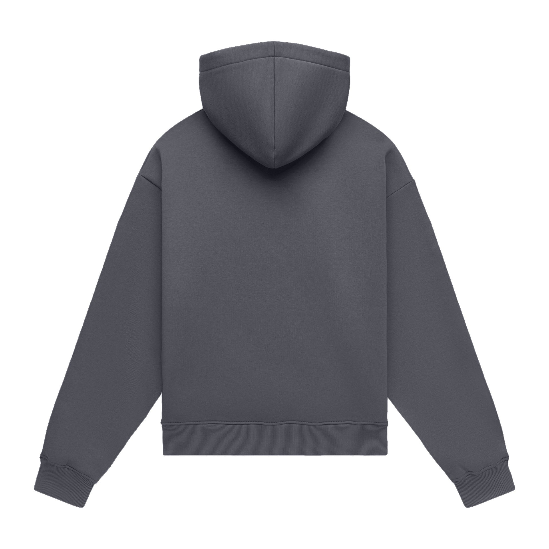 Hoodie oversize LIGHT BRUSHED GRAPHITE