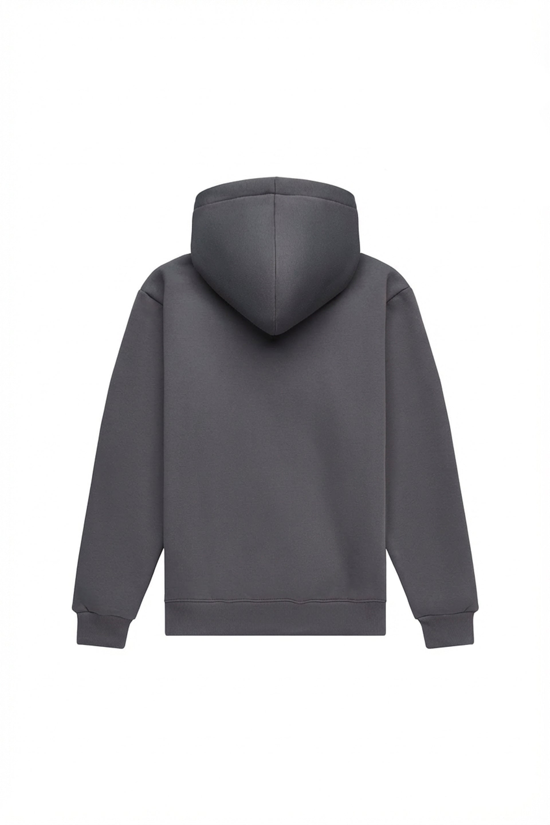 Hoodie regular LIGHT BRUSHED GRAPHITE
