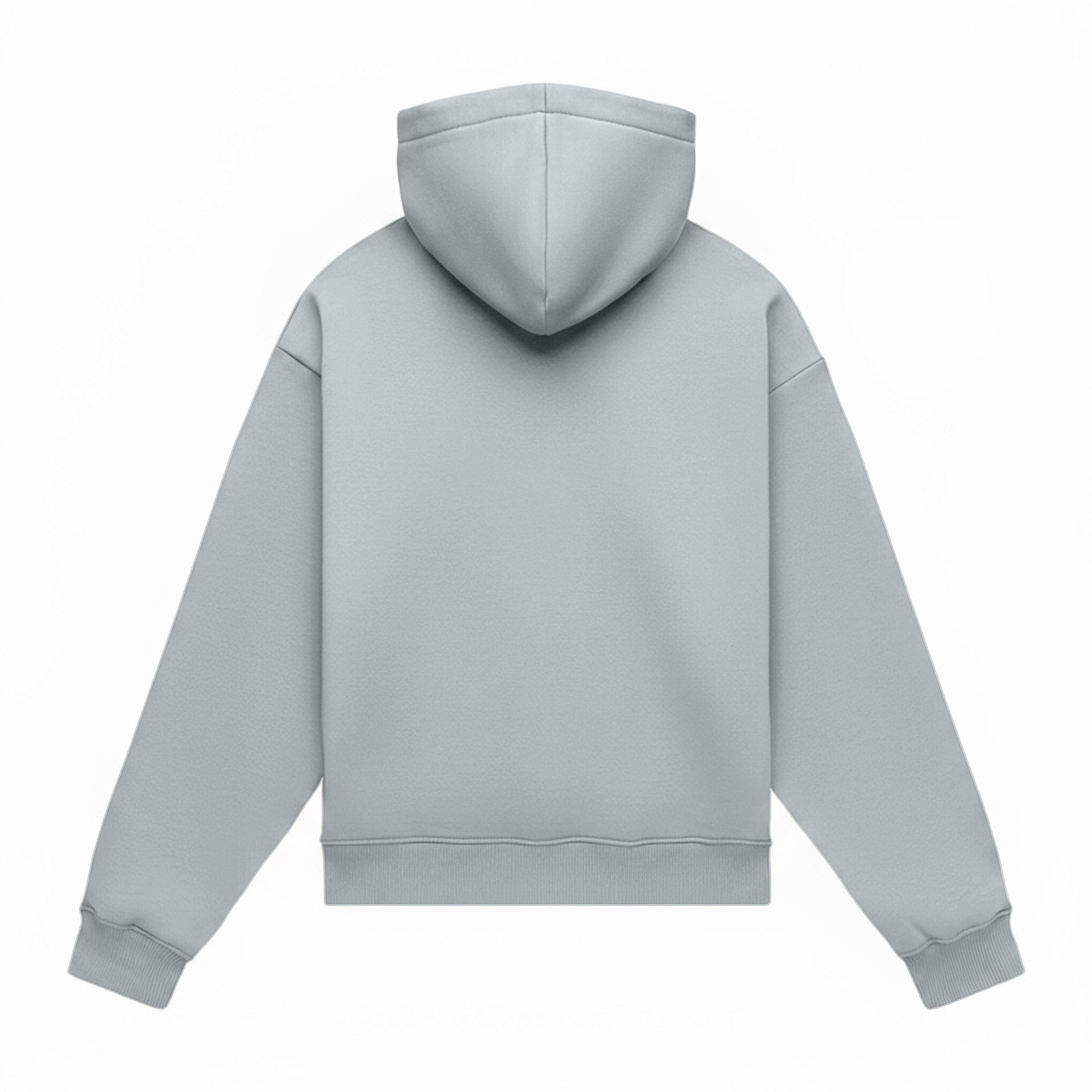Hoodie oversize LIGHT BRUSHED GRAY