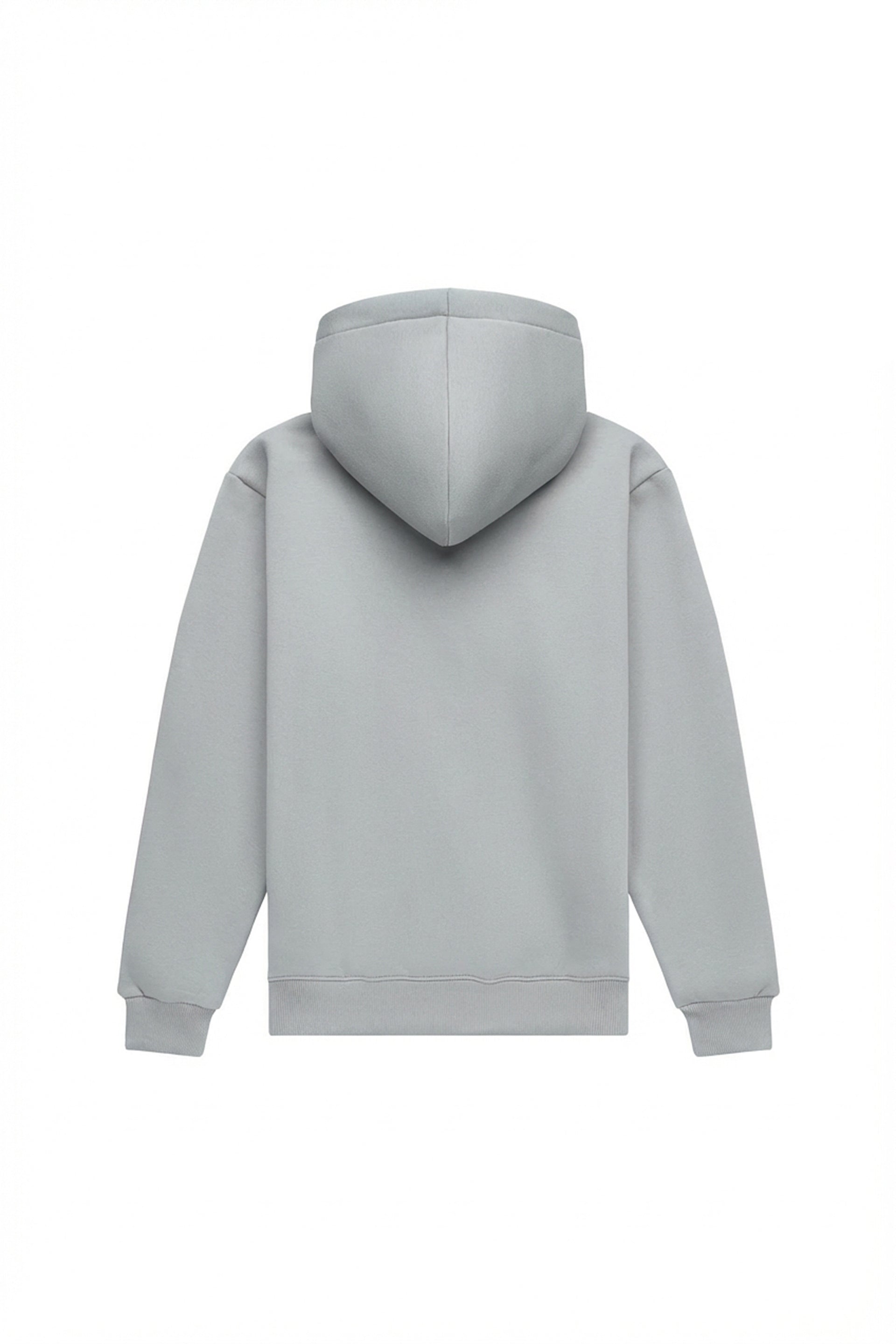 Hoodie regular LIGHT BRUSHED GRAY