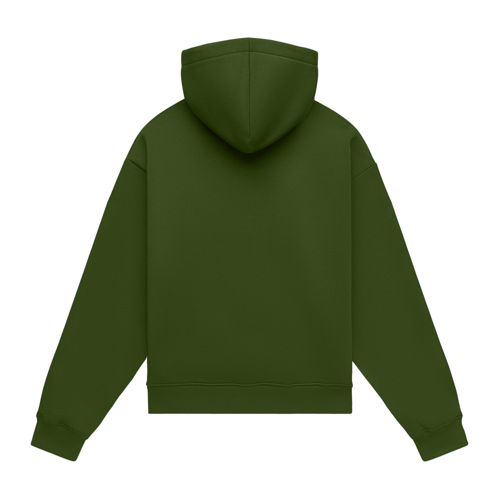 Hoodie oversize LIGHT BRUSHED GREEN