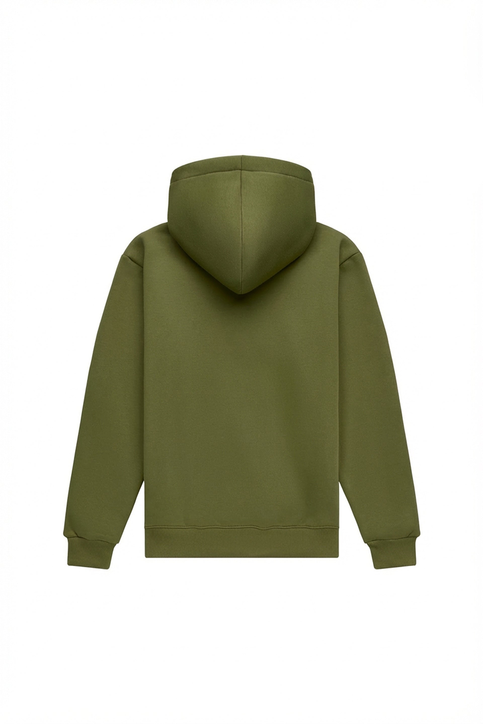 Hoodie regular LIGHT BRUSHED GREEN