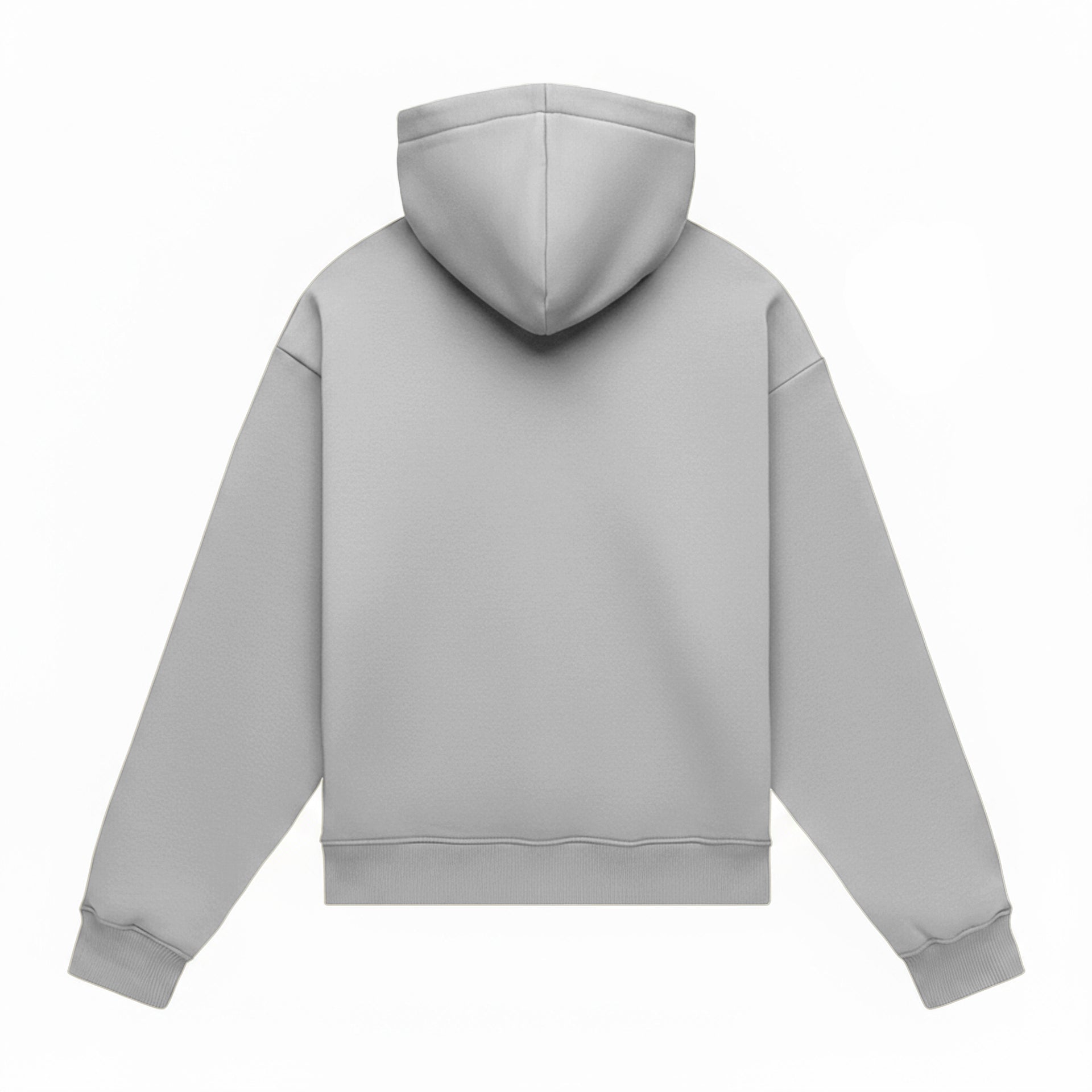 Hoodie oversize LIGHT BRUSHED ICELAND