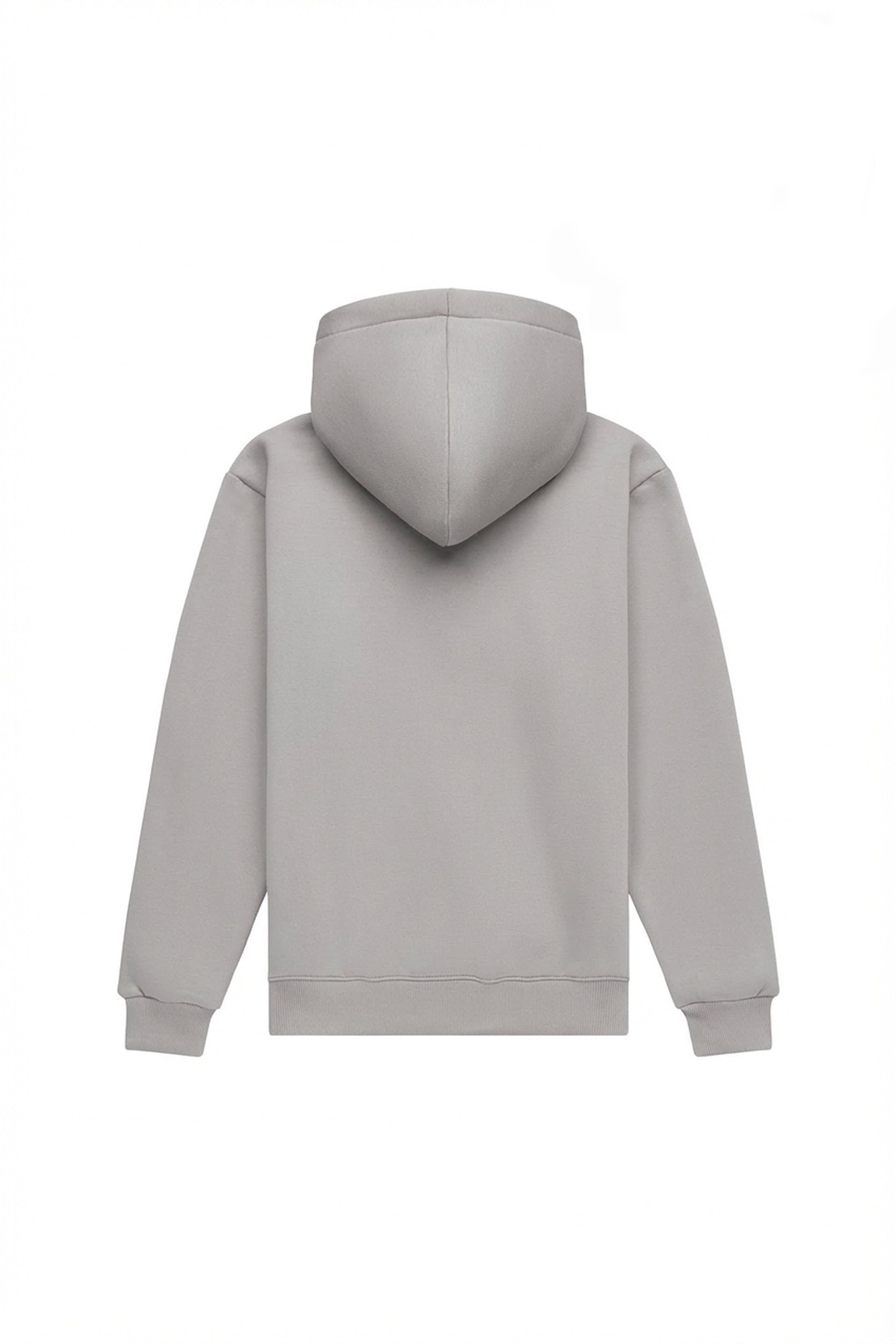 Hoodie regular LIGHT BRUSHED ICELAND