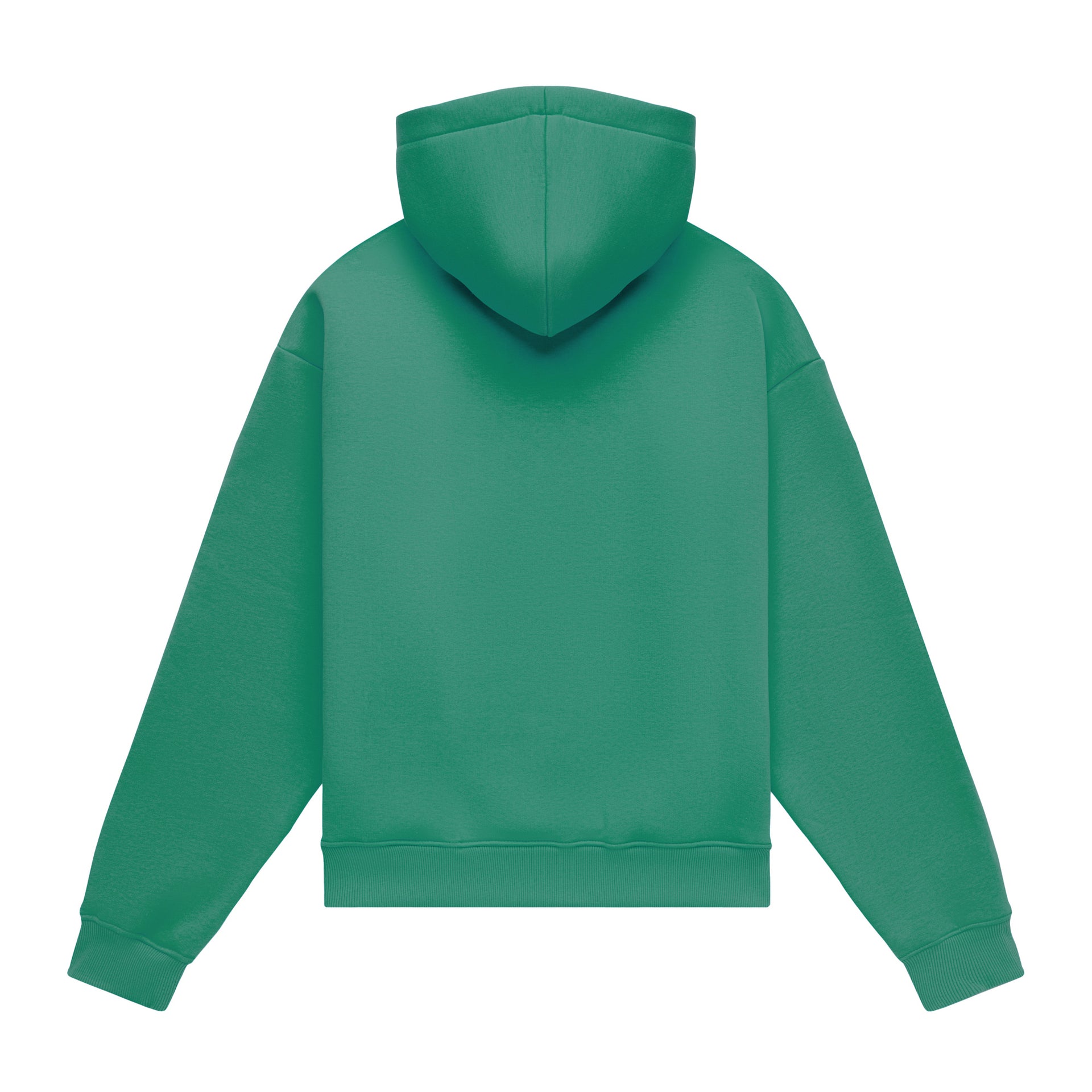 Hoodie oversize LIGHT BRUSHED IRISH GREEN