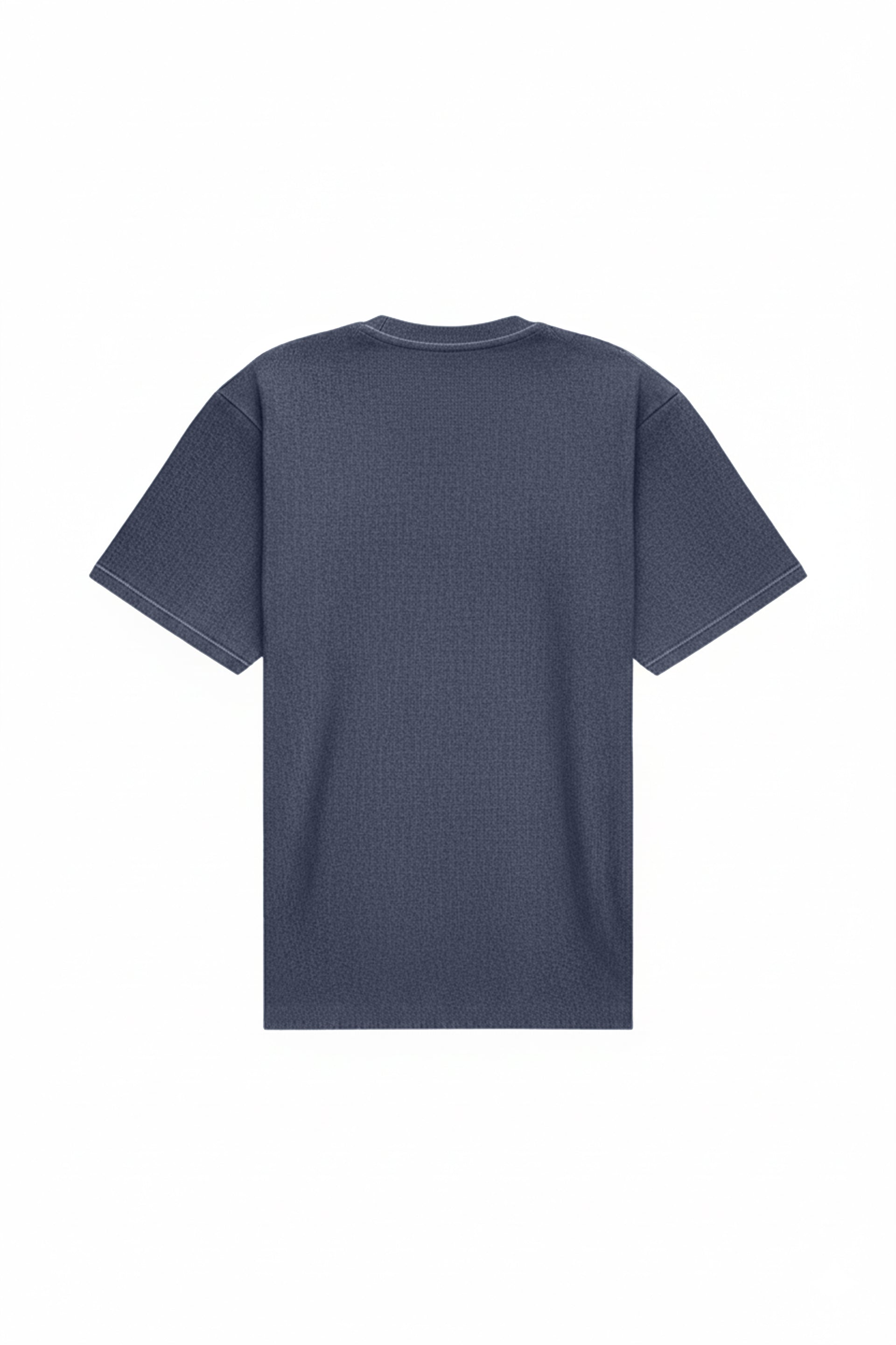 Oversized T-shirt in 2 variants