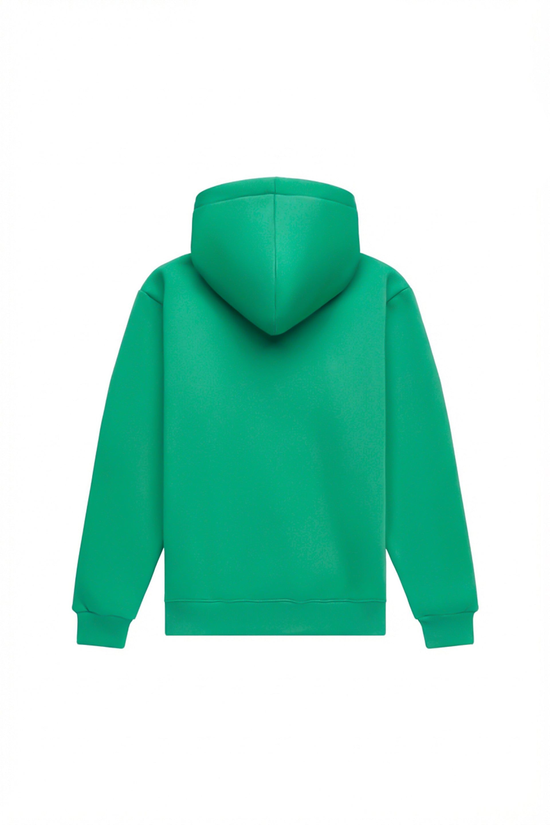 Hoodie regular LIGHT BRUSHED KELLY GREEN
