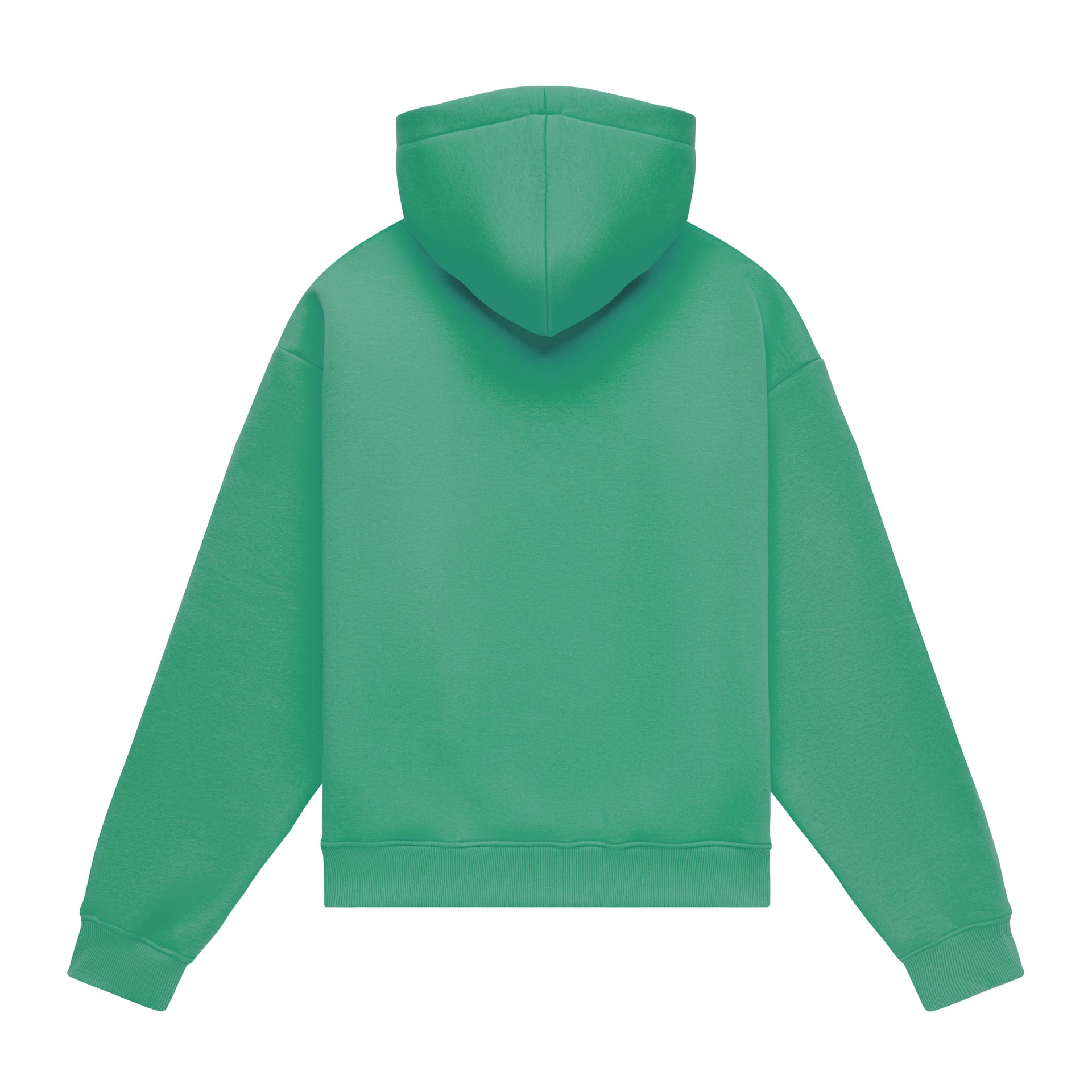 Hoodie oversize LIGHT BRUSHED KELLY GREEN
