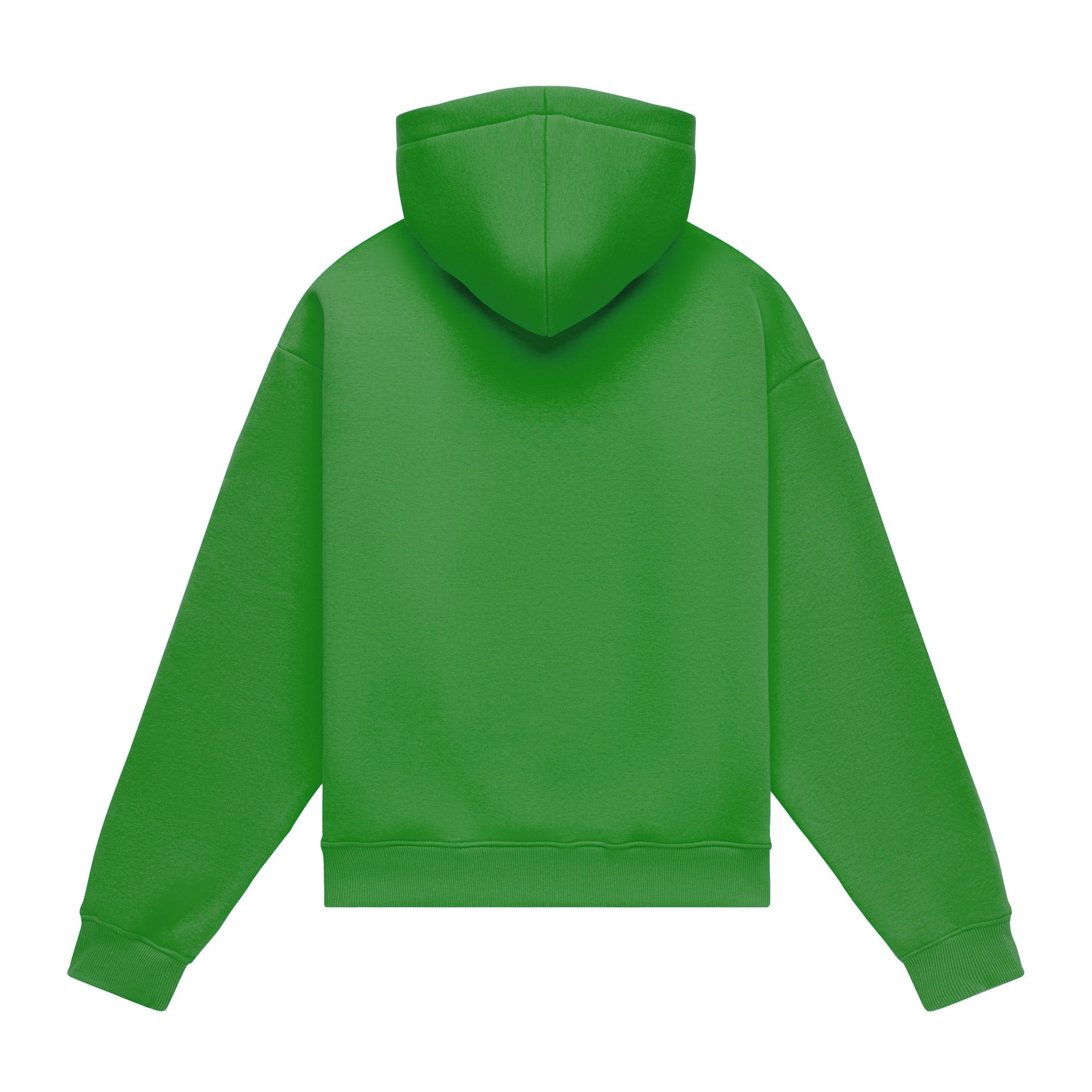 Hoodie oversize LIGHT BRUSHED KIWI