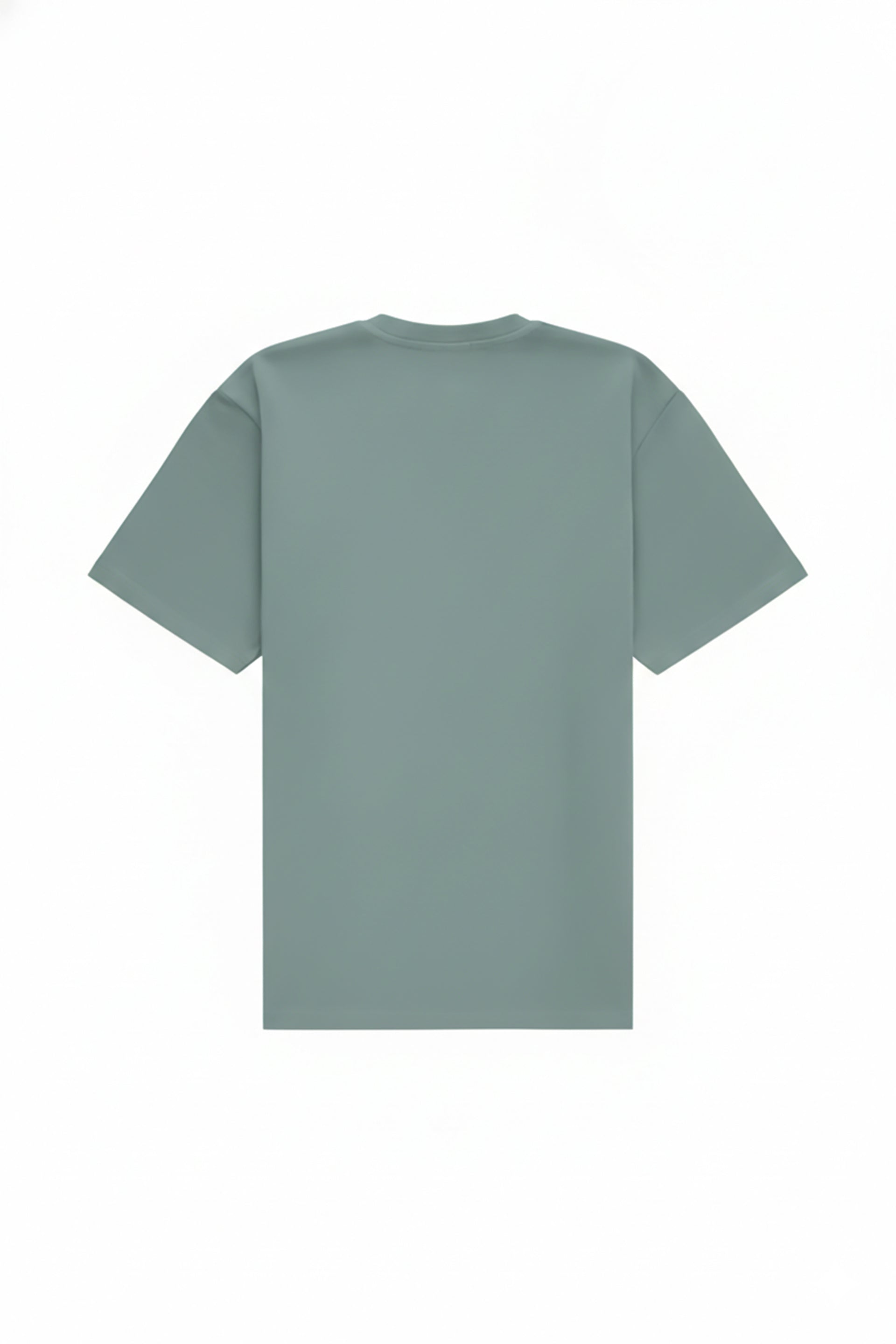 Regular T-shirt in 2 variants