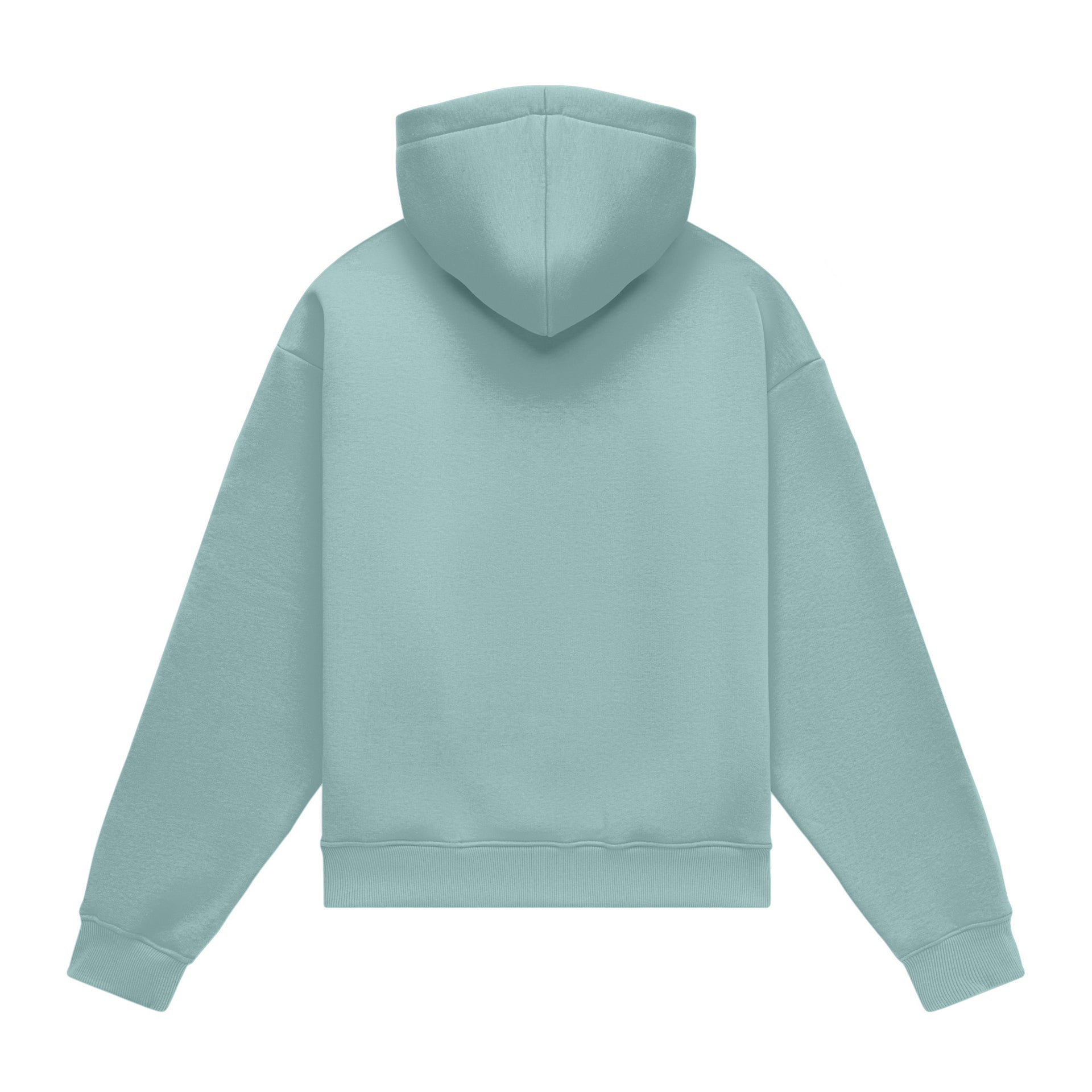 Hoodie oversize LIGHT BRUSHED LAGUNA