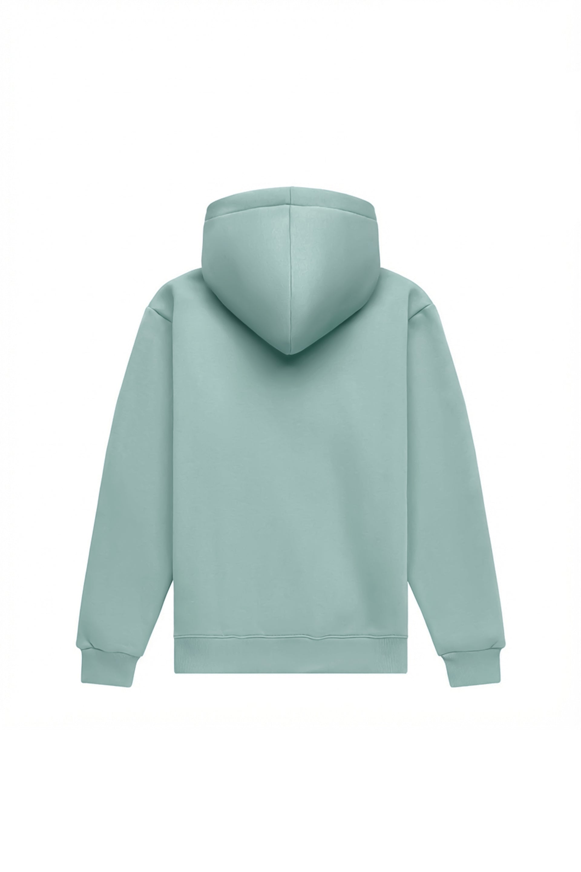 Hoodie regular LIGHT BRUSHED LAGUNA