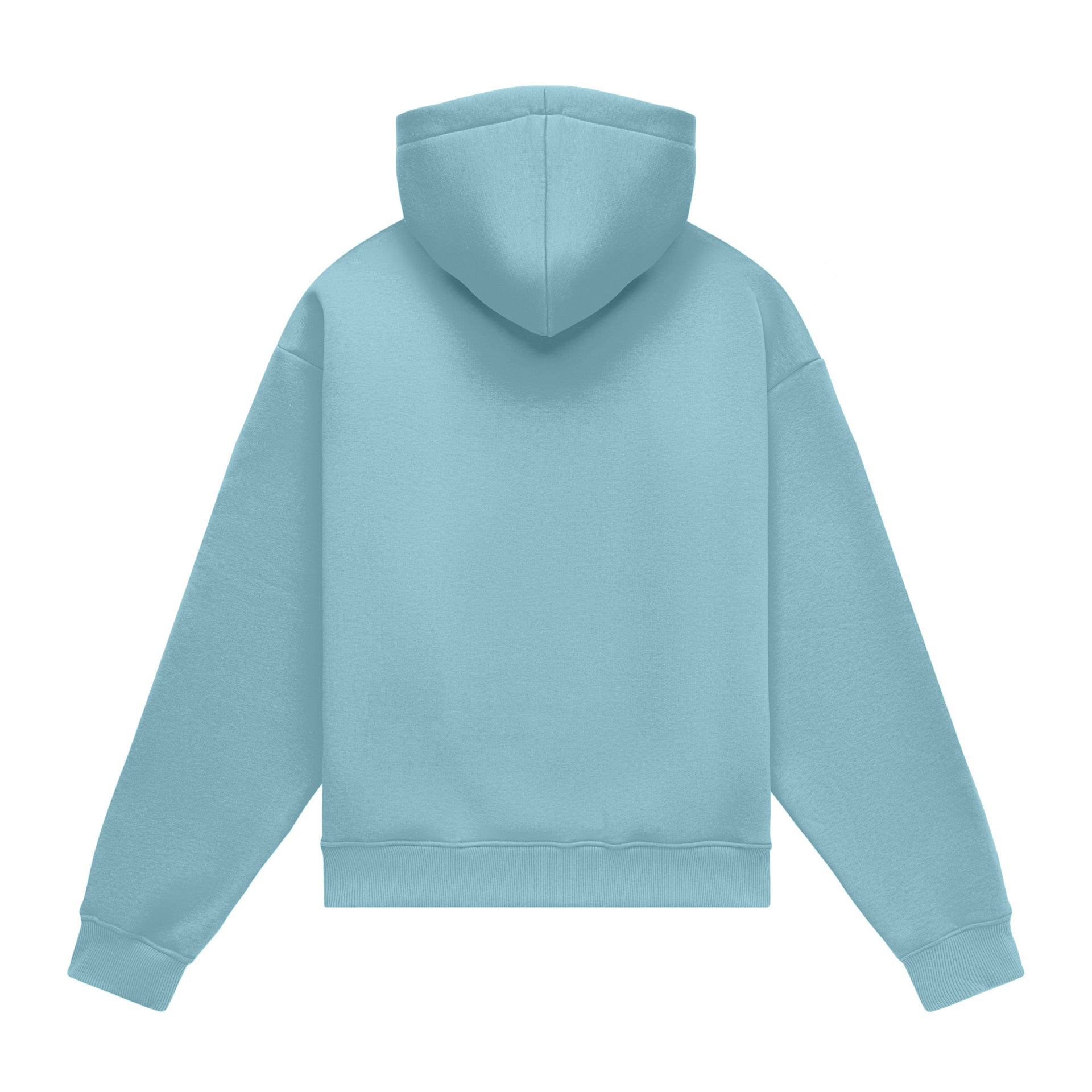 Hoodie oversize LIGHT BRUSHED LIGHT BLUE