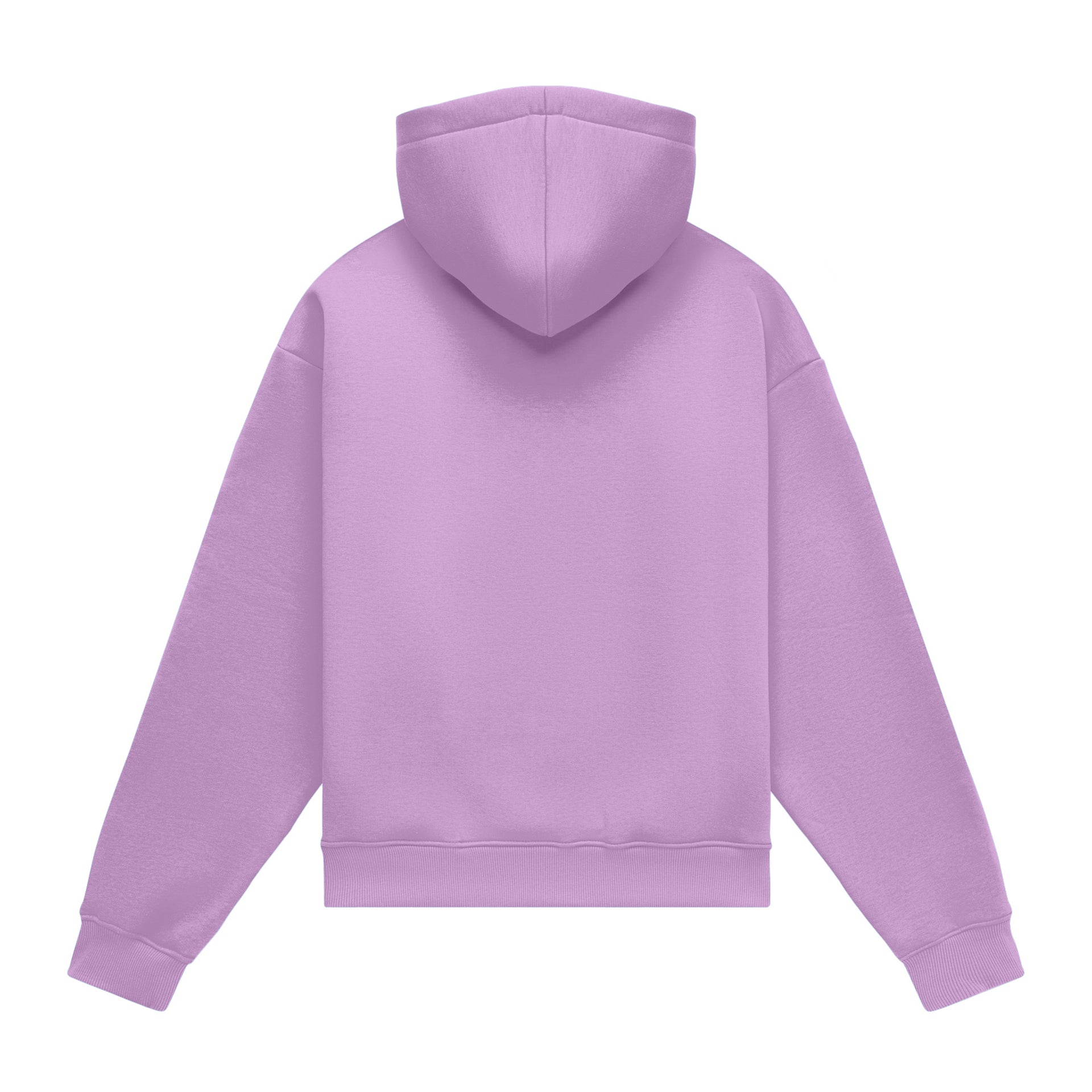Hoodie oversize LIGHT BRUSHED LILAC