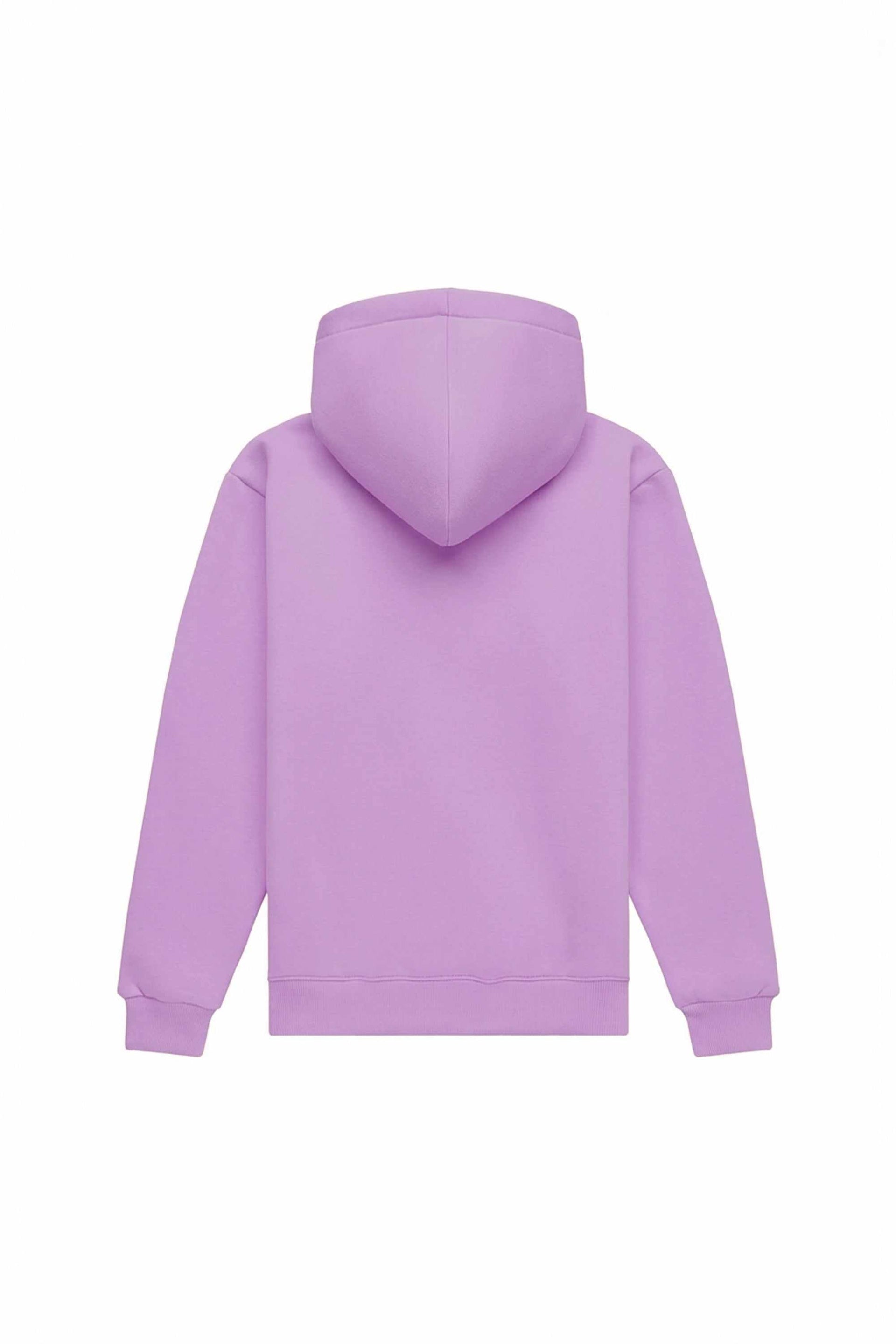 Bluza z kapturem w kroju regular, lekko szczotkowana liliowa.