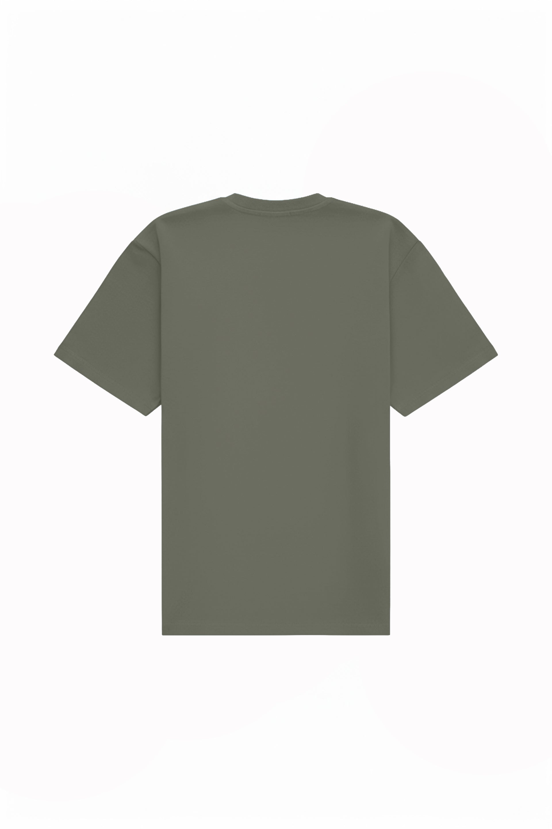 Oversized T-shirt in 2 variants