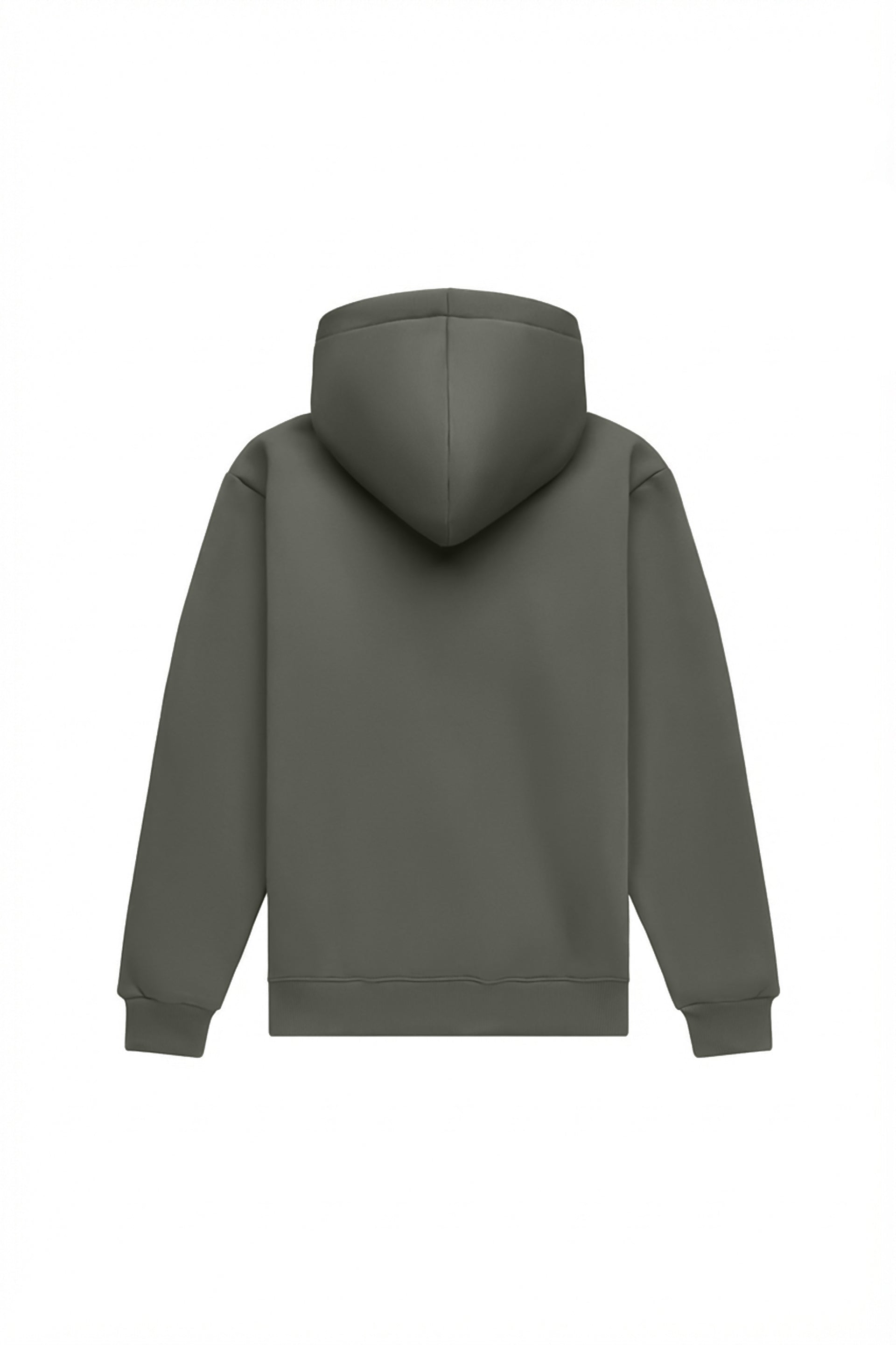 Hoodie regular MEDIUM BRUSHED MELANŻ 40P
