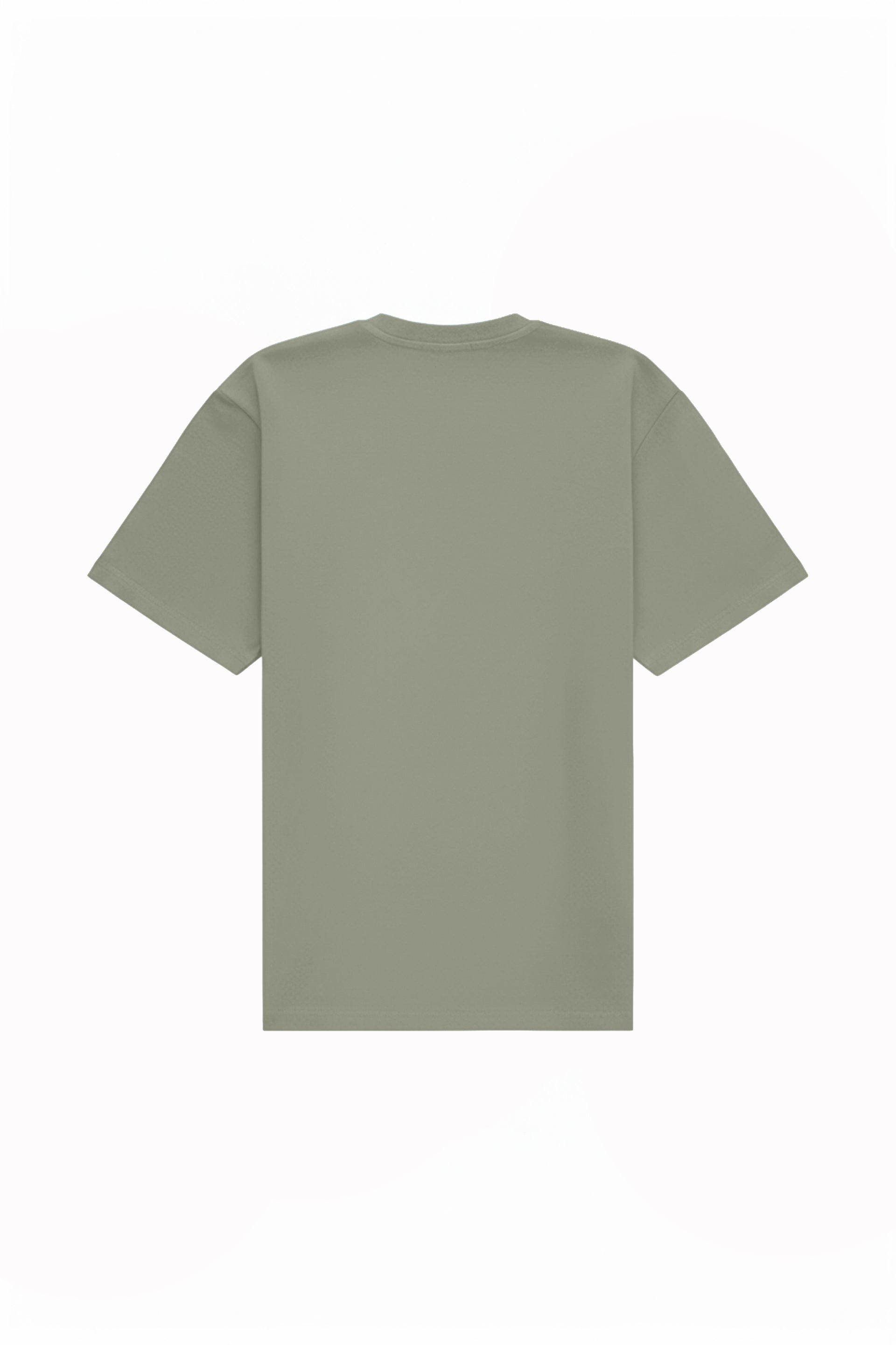 Oversized T-shirt in 2 variants