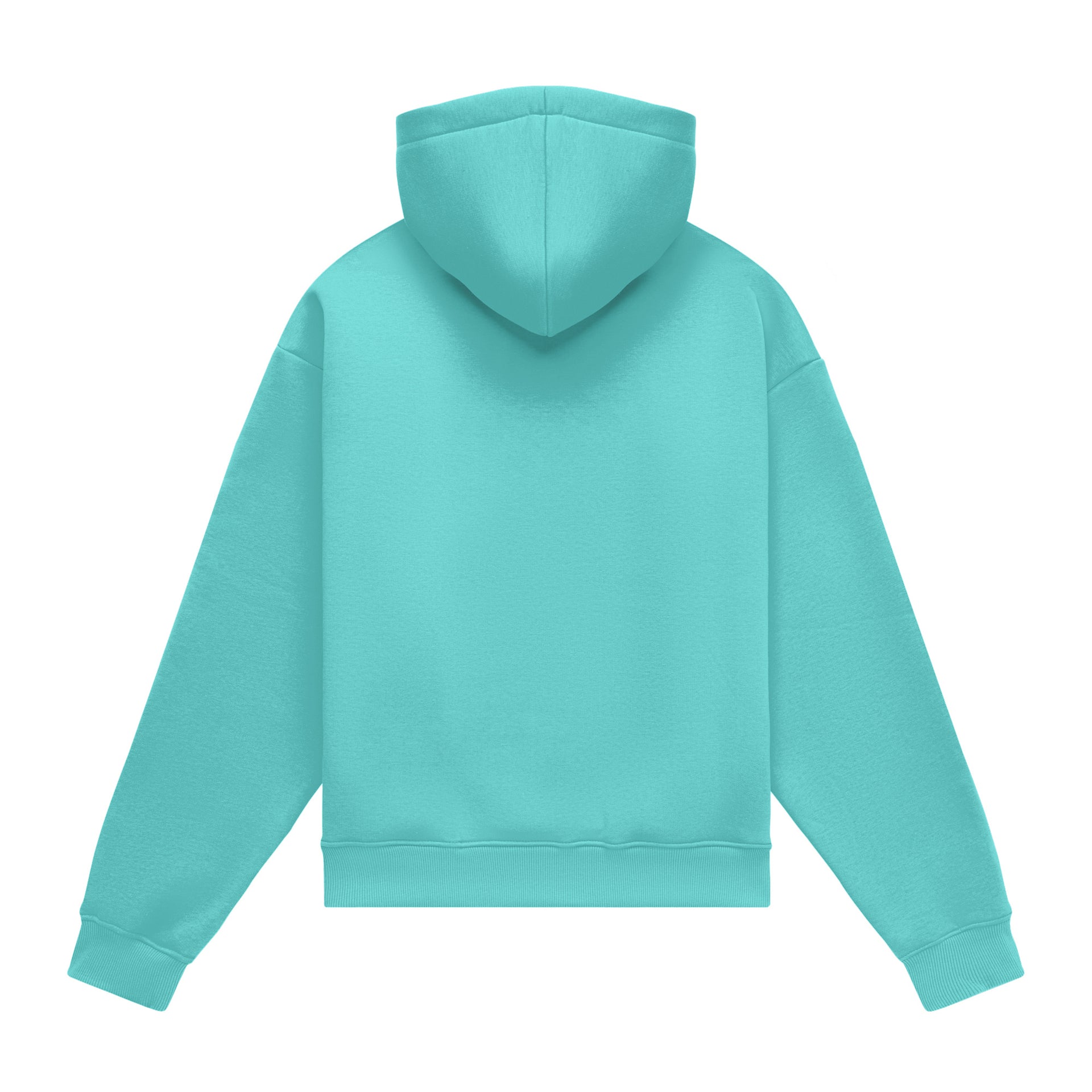 Hoodie oversize LIGHT BRUSHED MINT