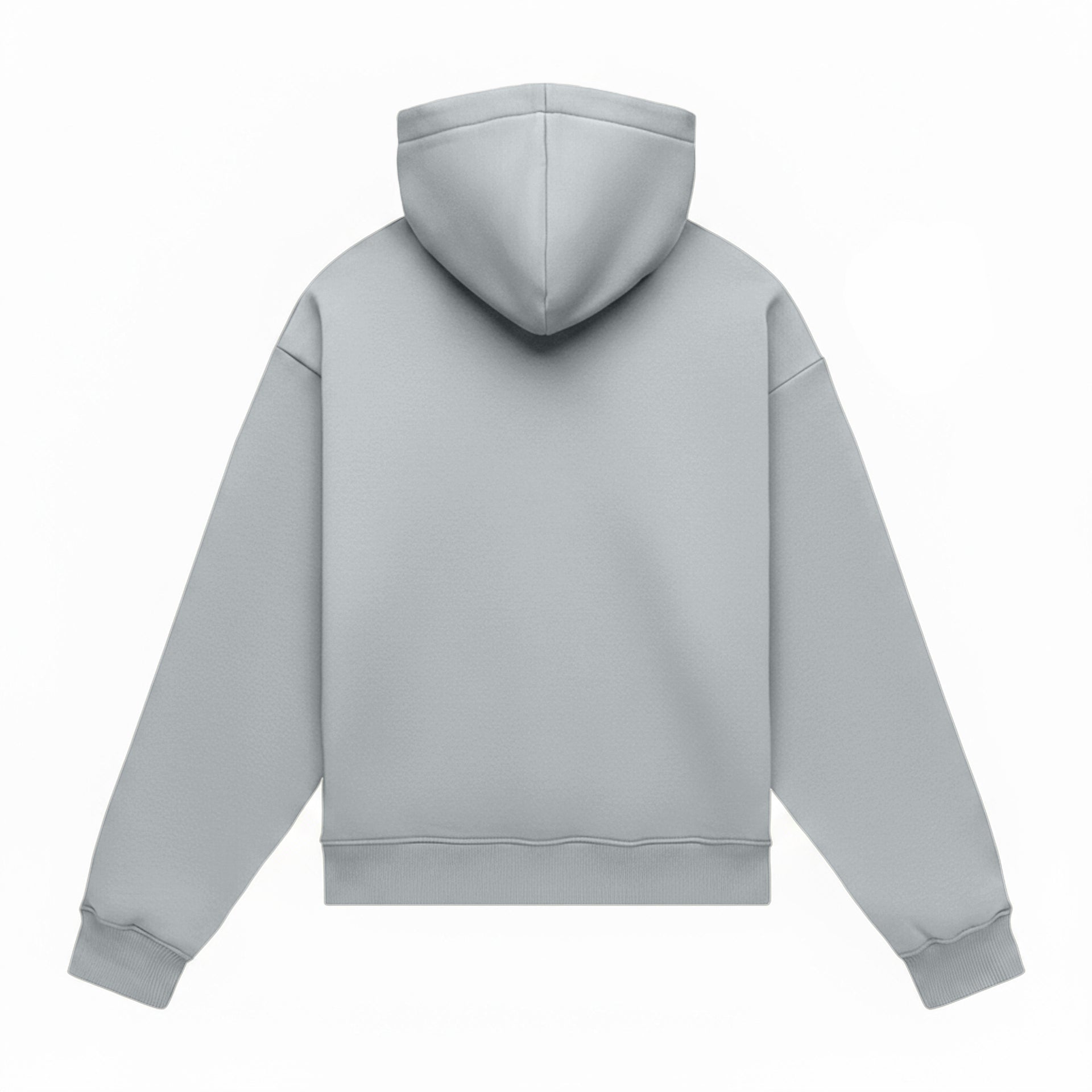 Hoodie oversize LIGHT BRUSHED NORWAY