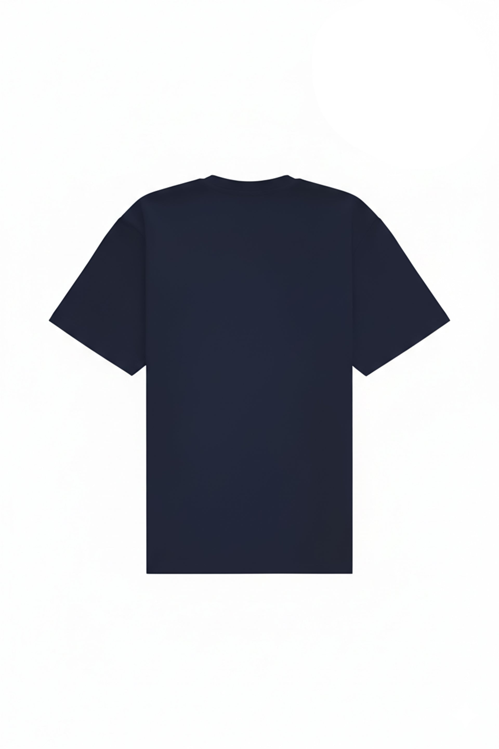 Regular T-shirt in 2 variants