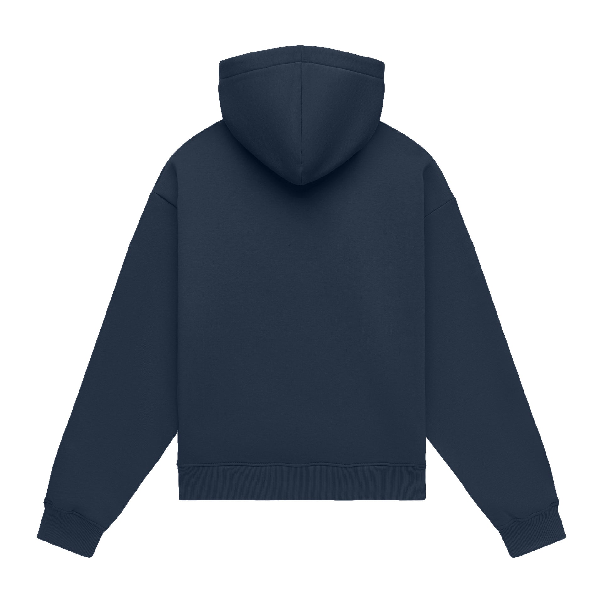 Hoodie oversize LIGHT BRUSHED PARLIAMENT
