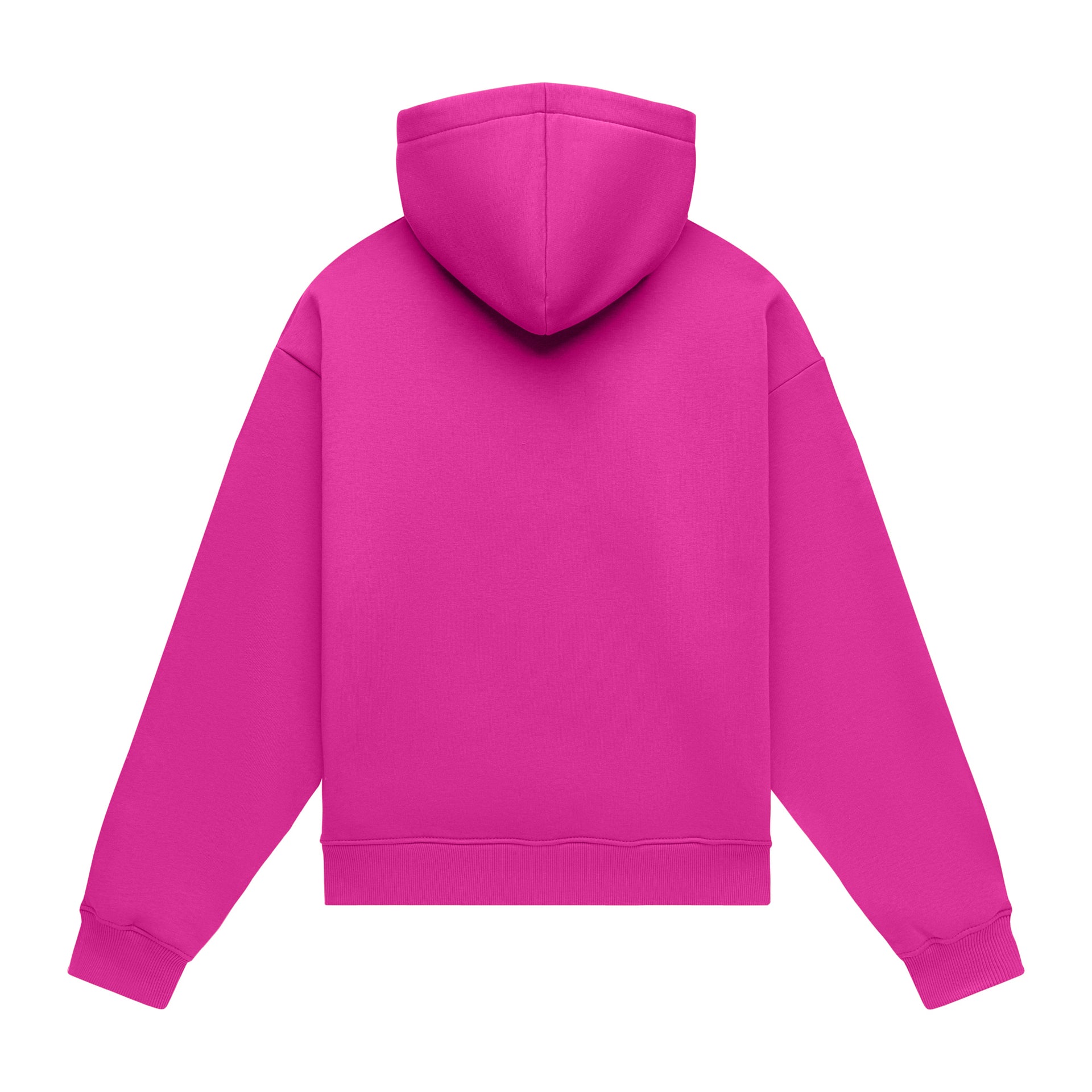 Hoodie oversize LIGHT BRUSHED PEONY