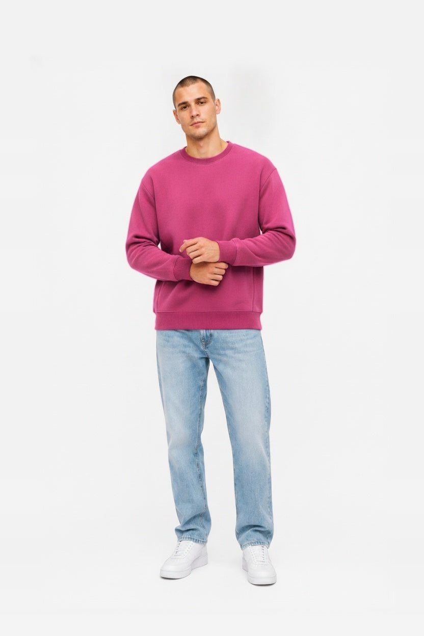 Crewneck oversize LIGHT BRUSHED PEONY